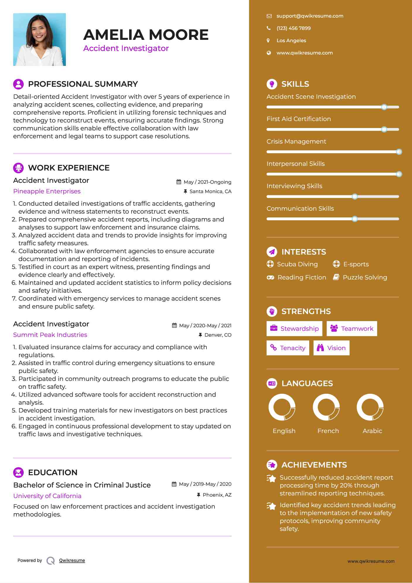 Accident Investigator Resume Template