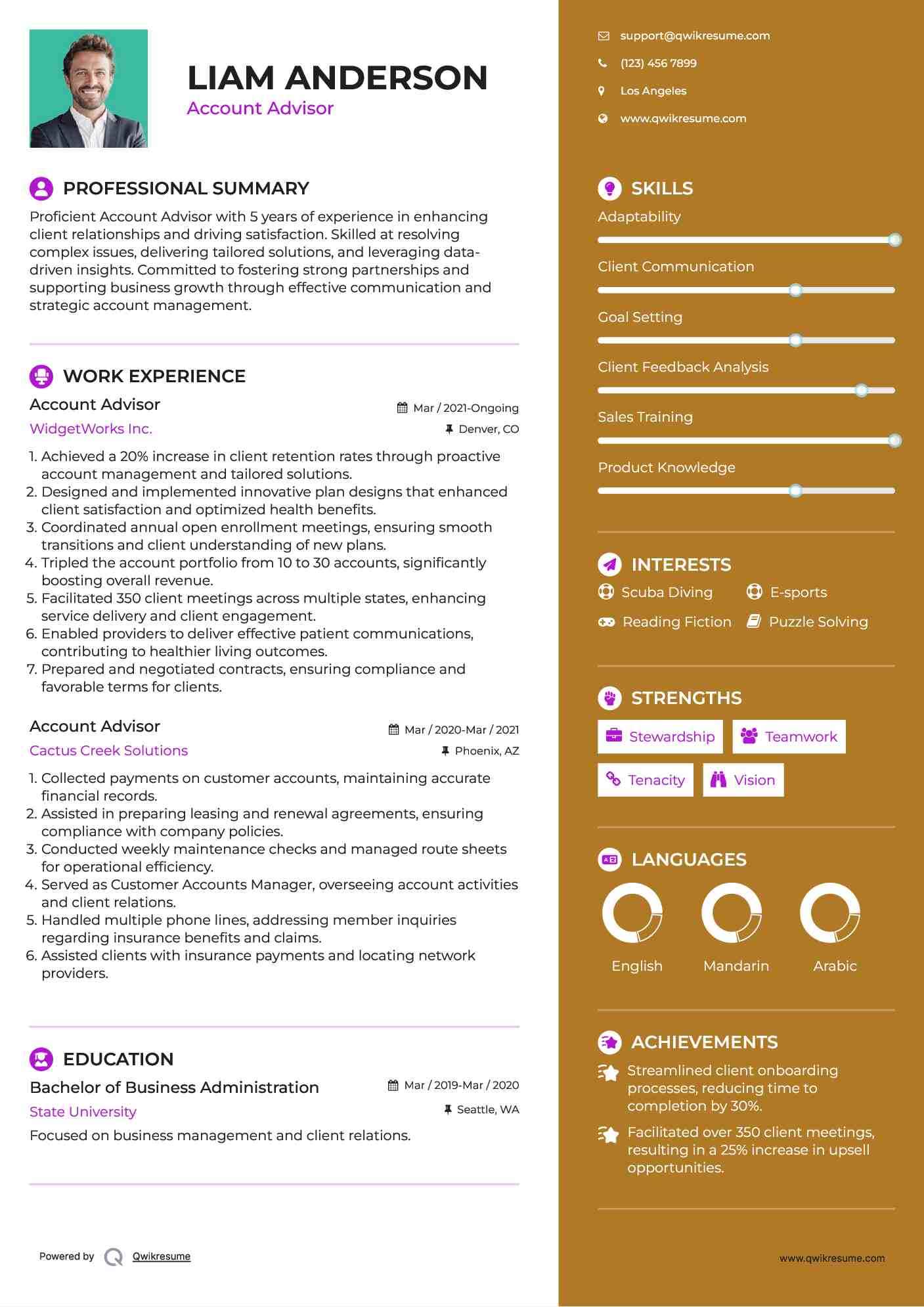Account Advisor Resume Example