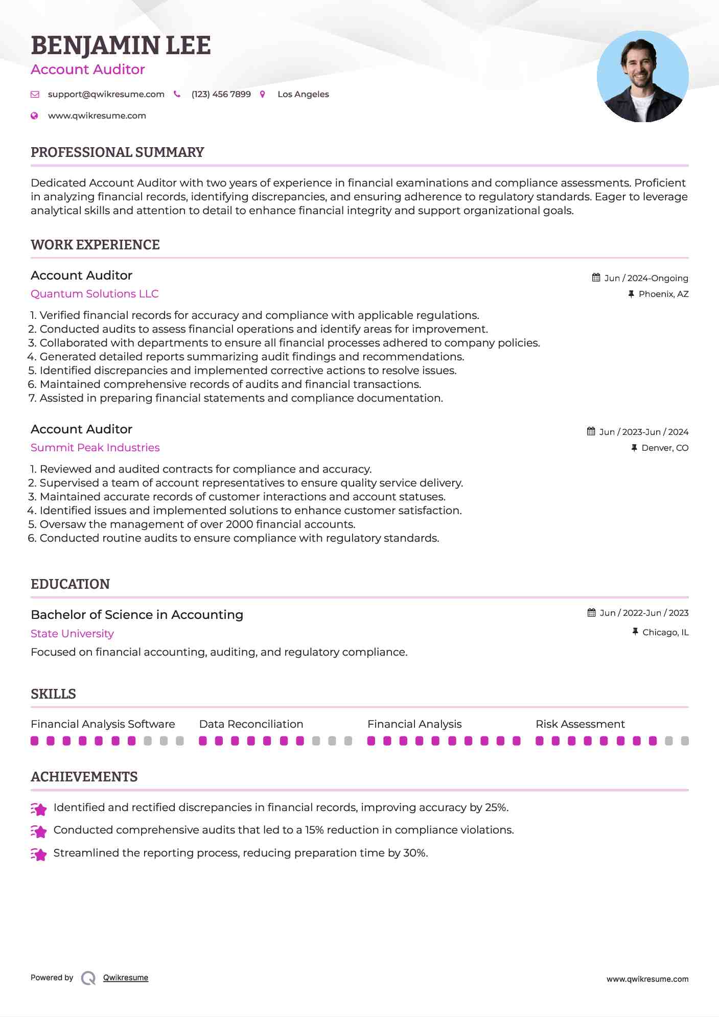 Account Auditor Resume Sample