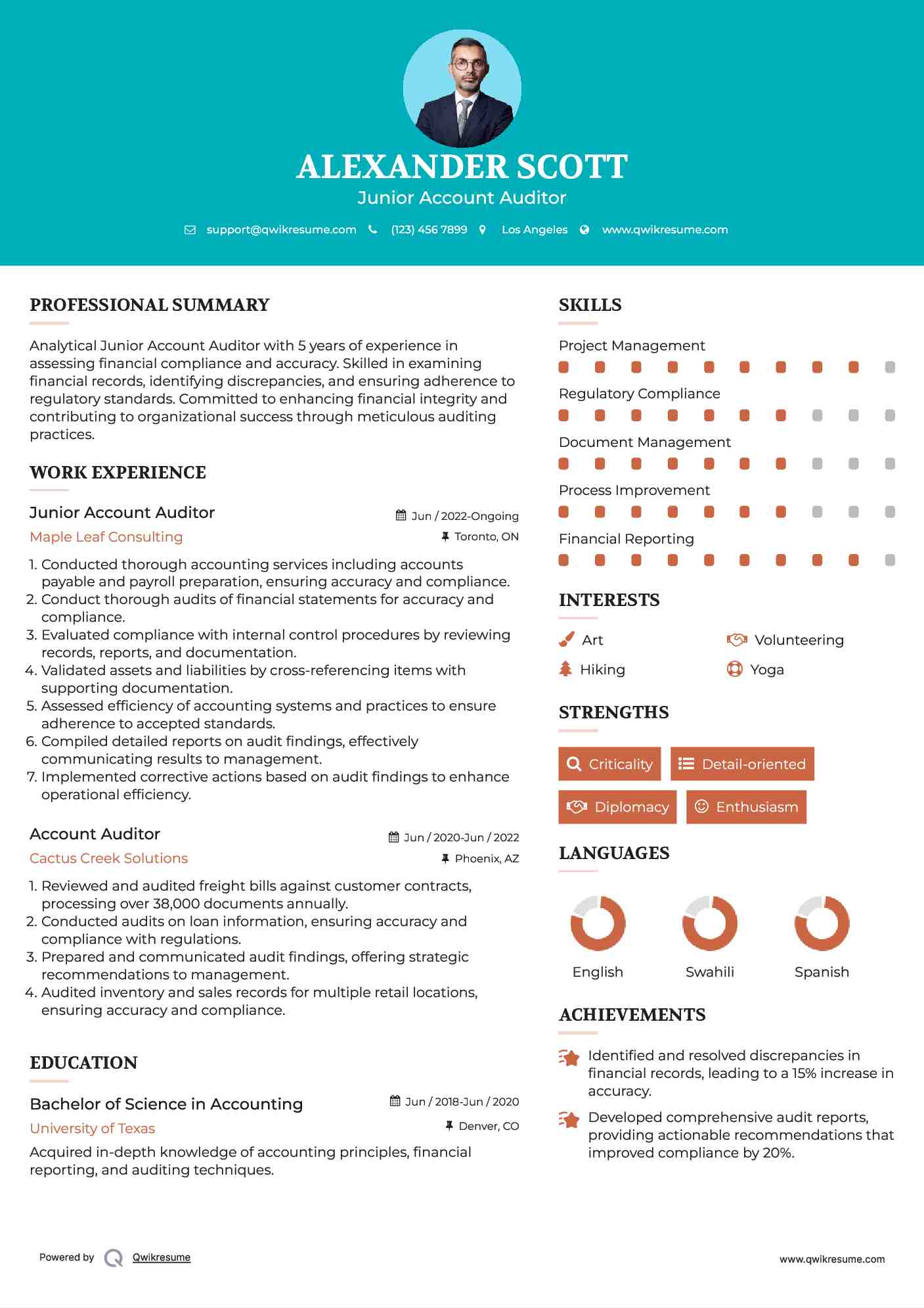 Junior Account Auditor Resume Model