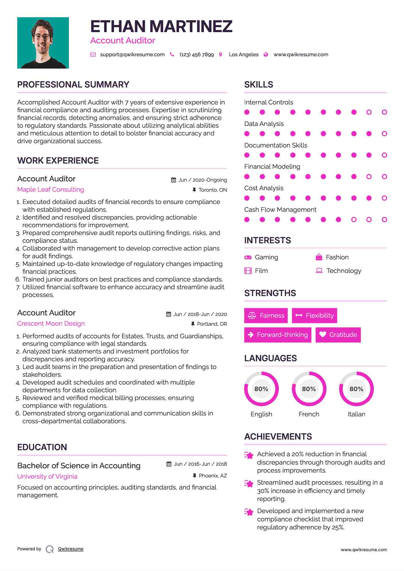 Account Auditor Resume Sample