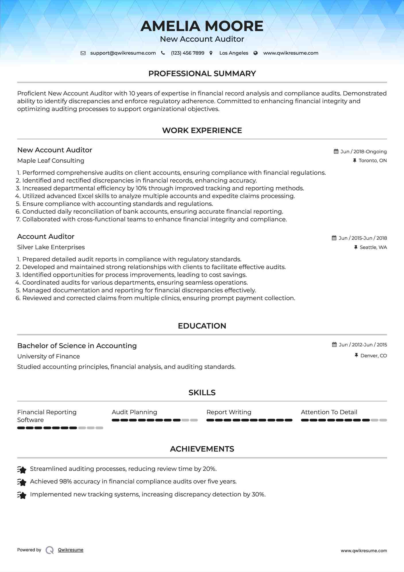 New Account Auditor Resume Template