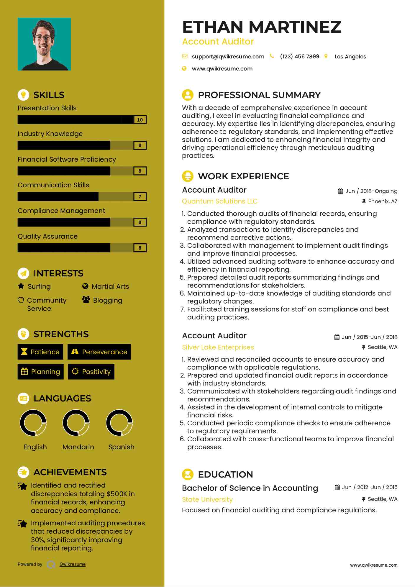 Account Auditor Resume Format