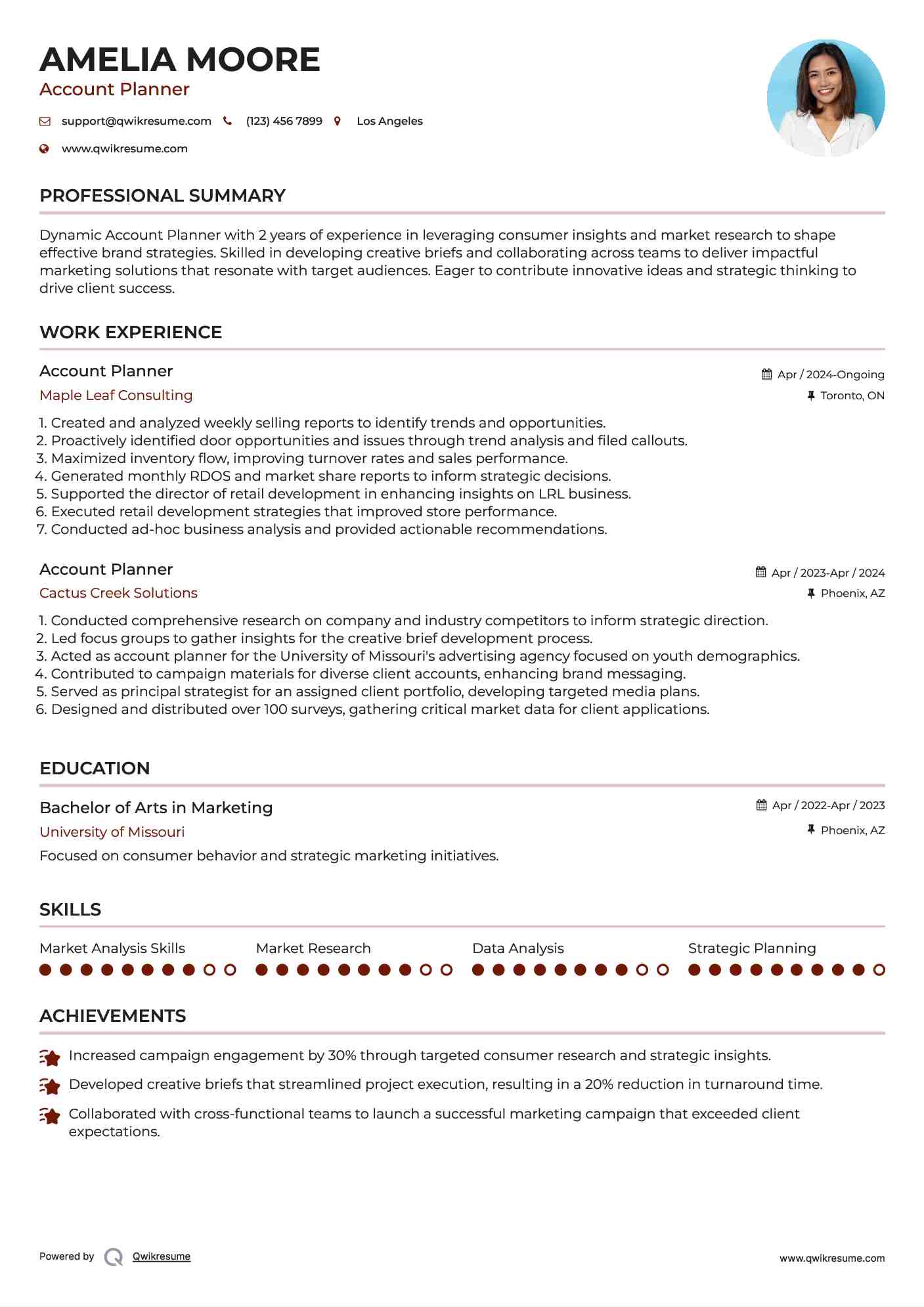 Account Planner Resume Sample