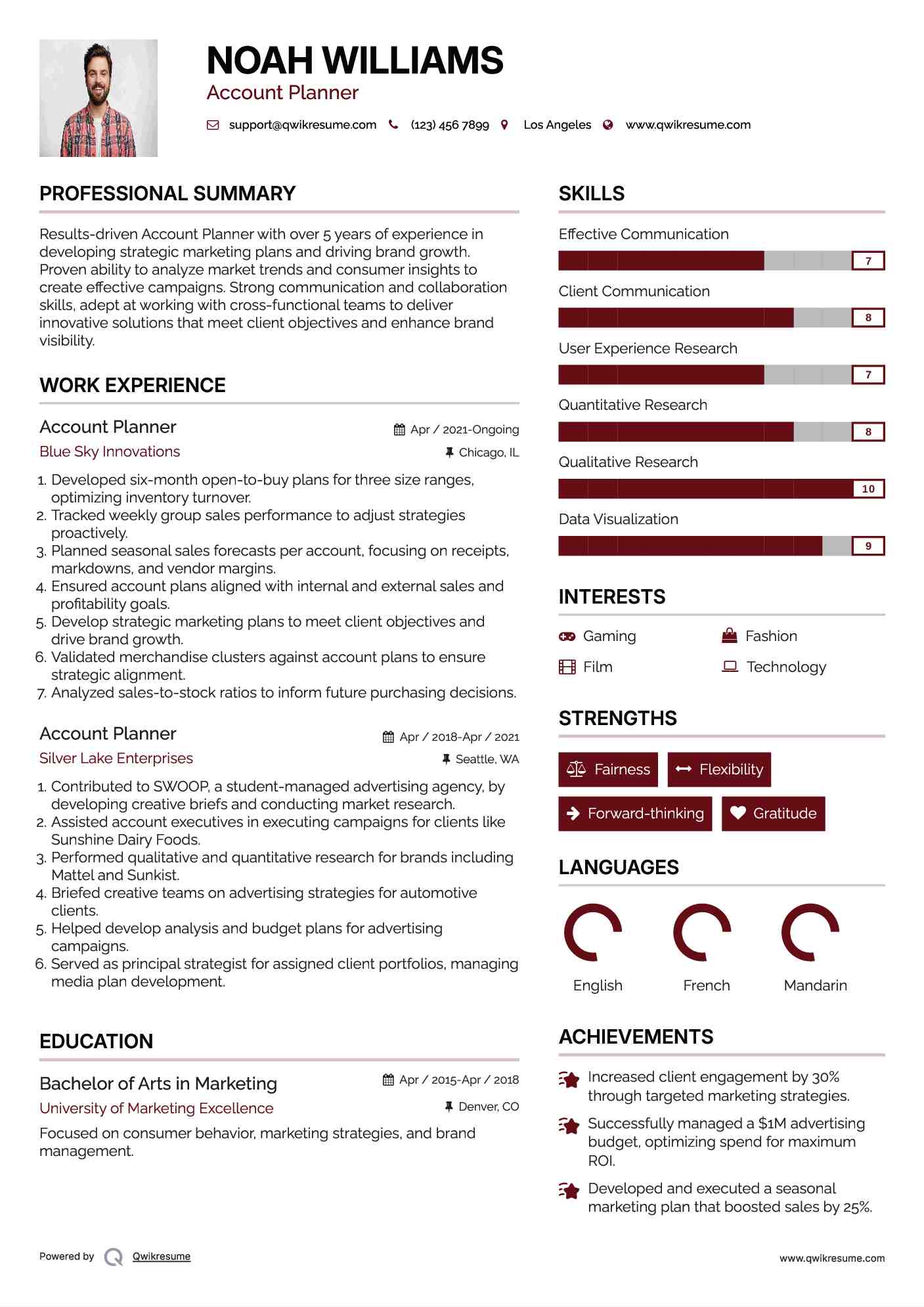 Account Planner Resume Template