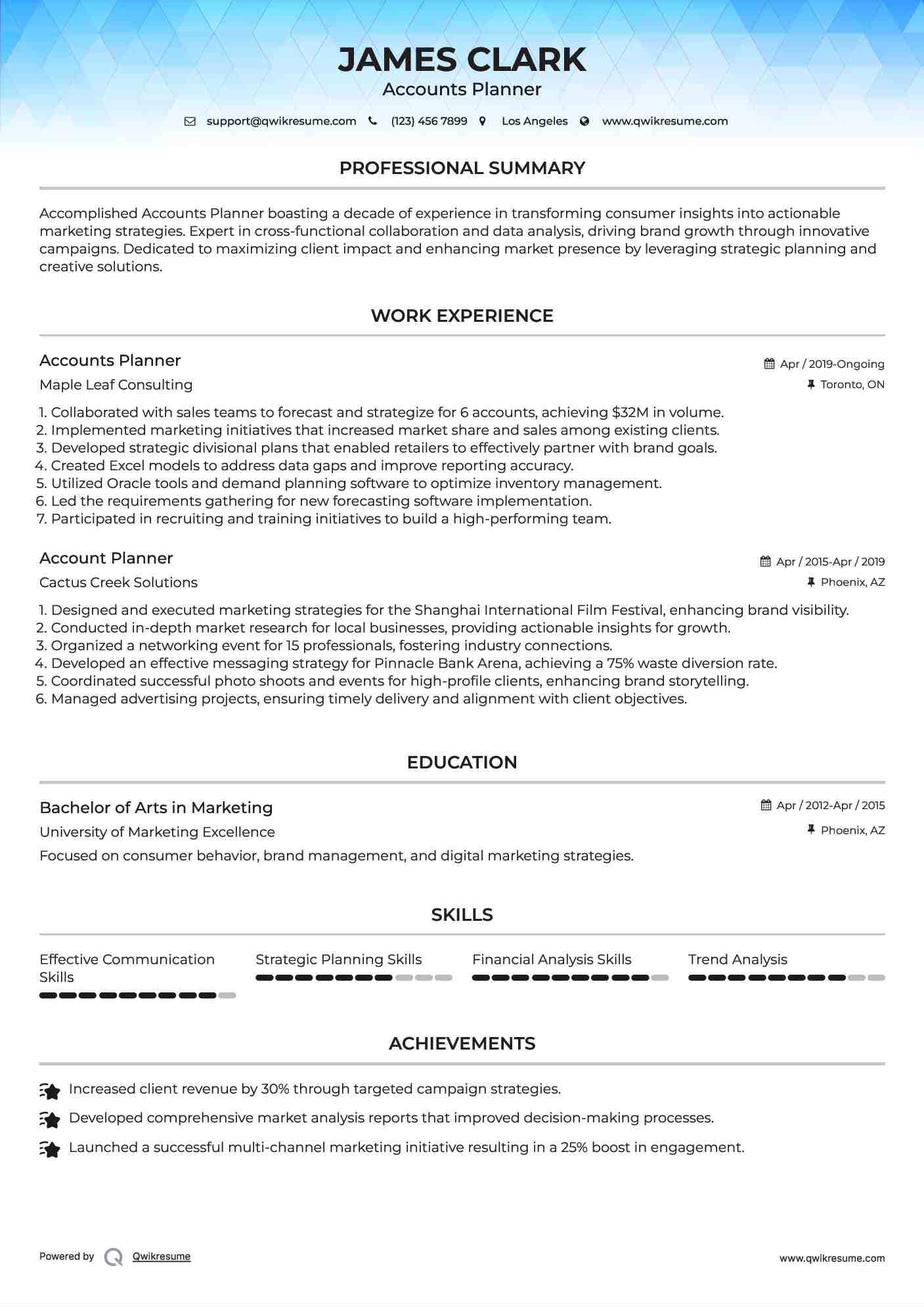 Accounts Planner Resume Example