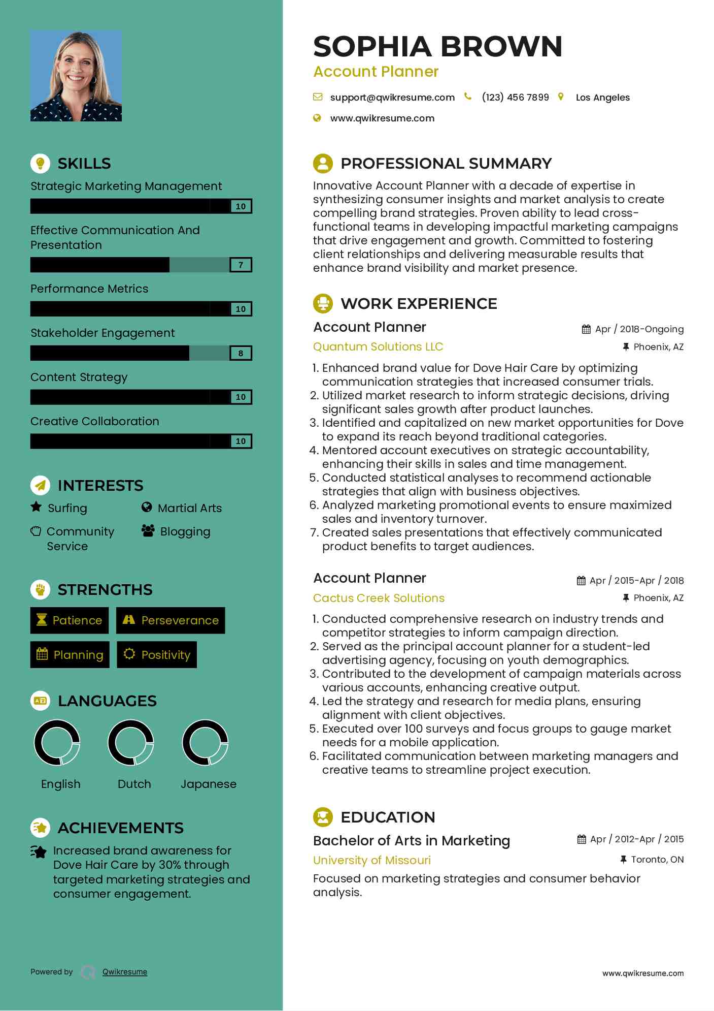 Account Planner Resume Template