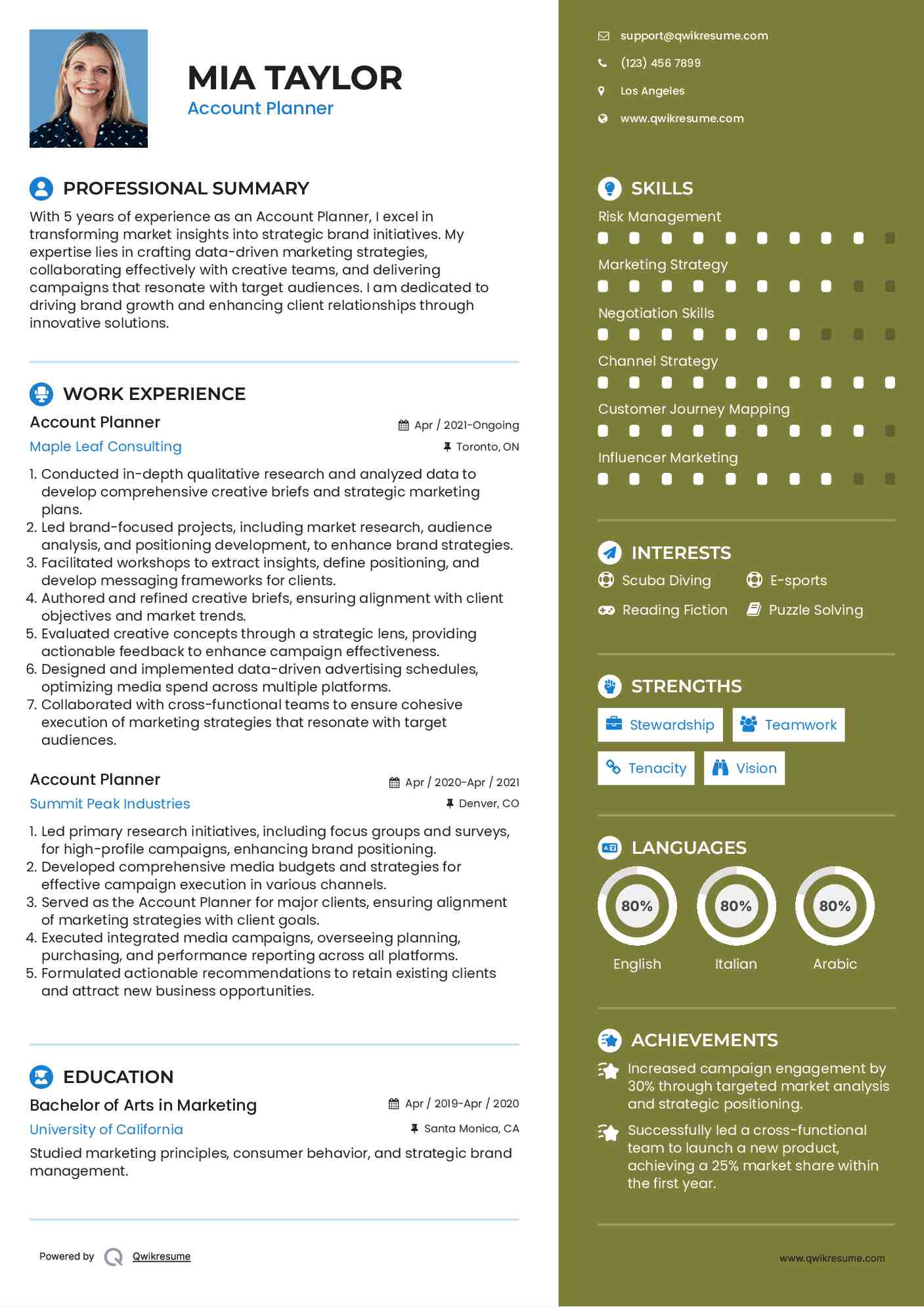 Account Planner Resume Sample