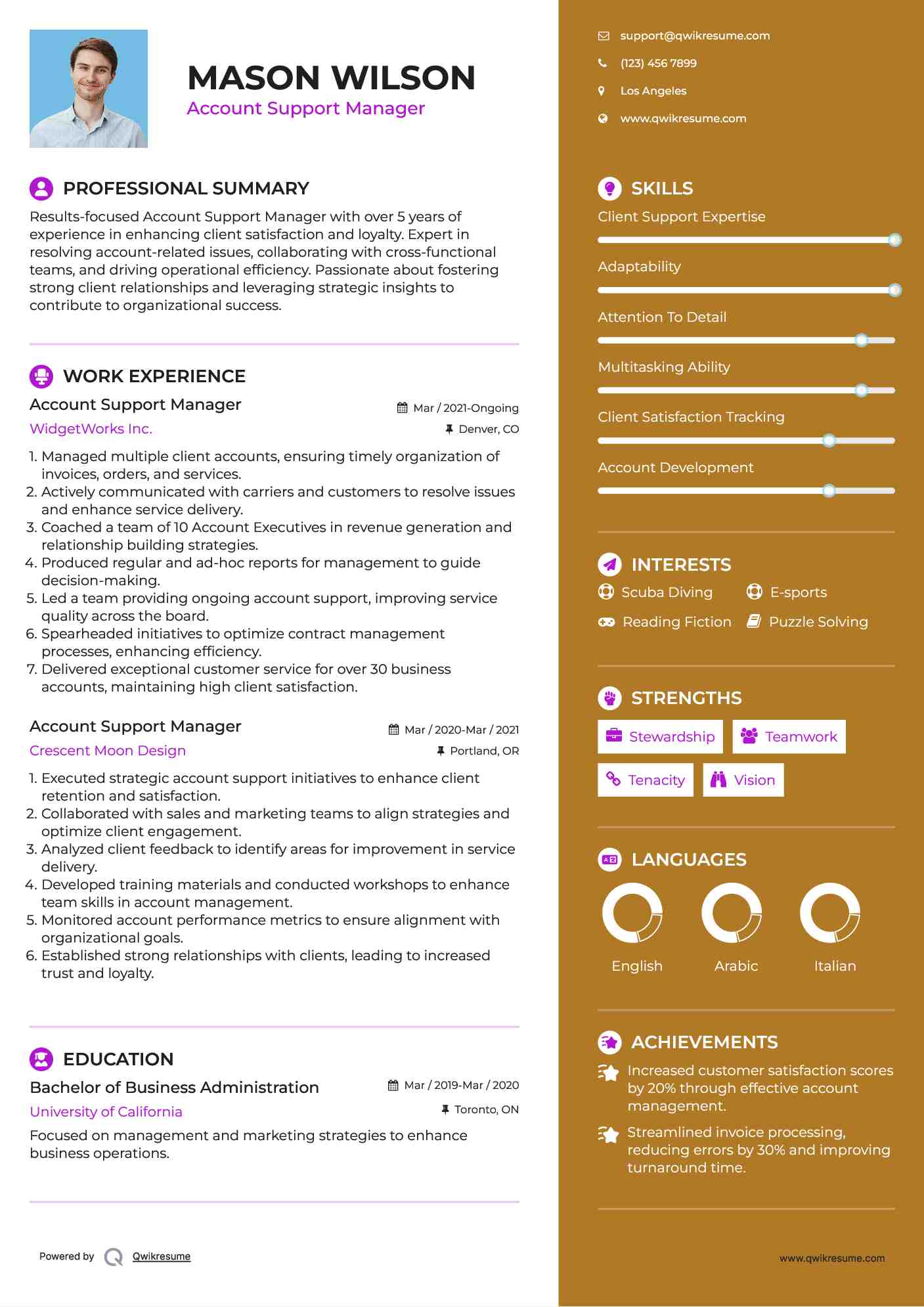 Account Support Manager Resume Model