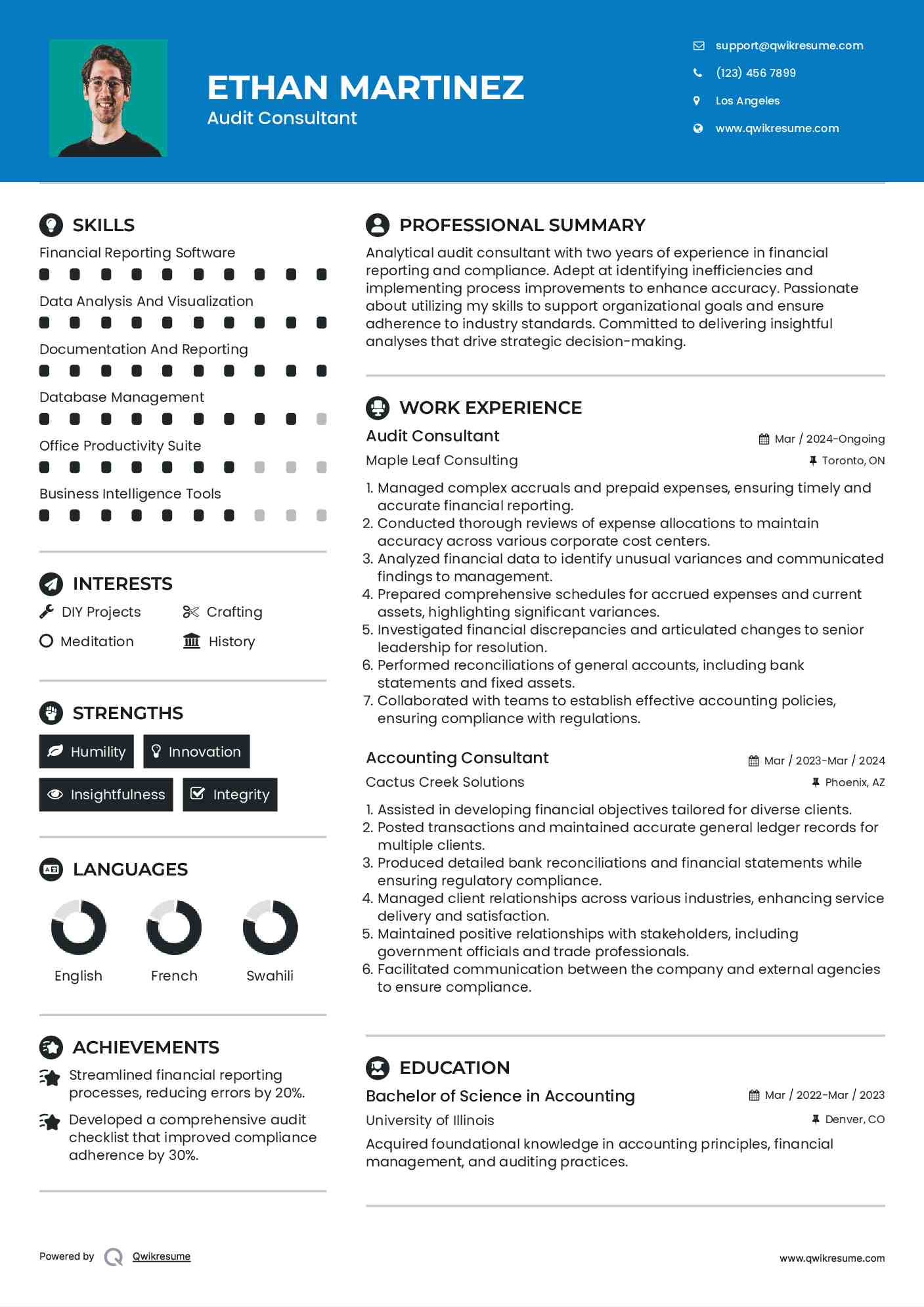 Audit Consultant Resume Sample