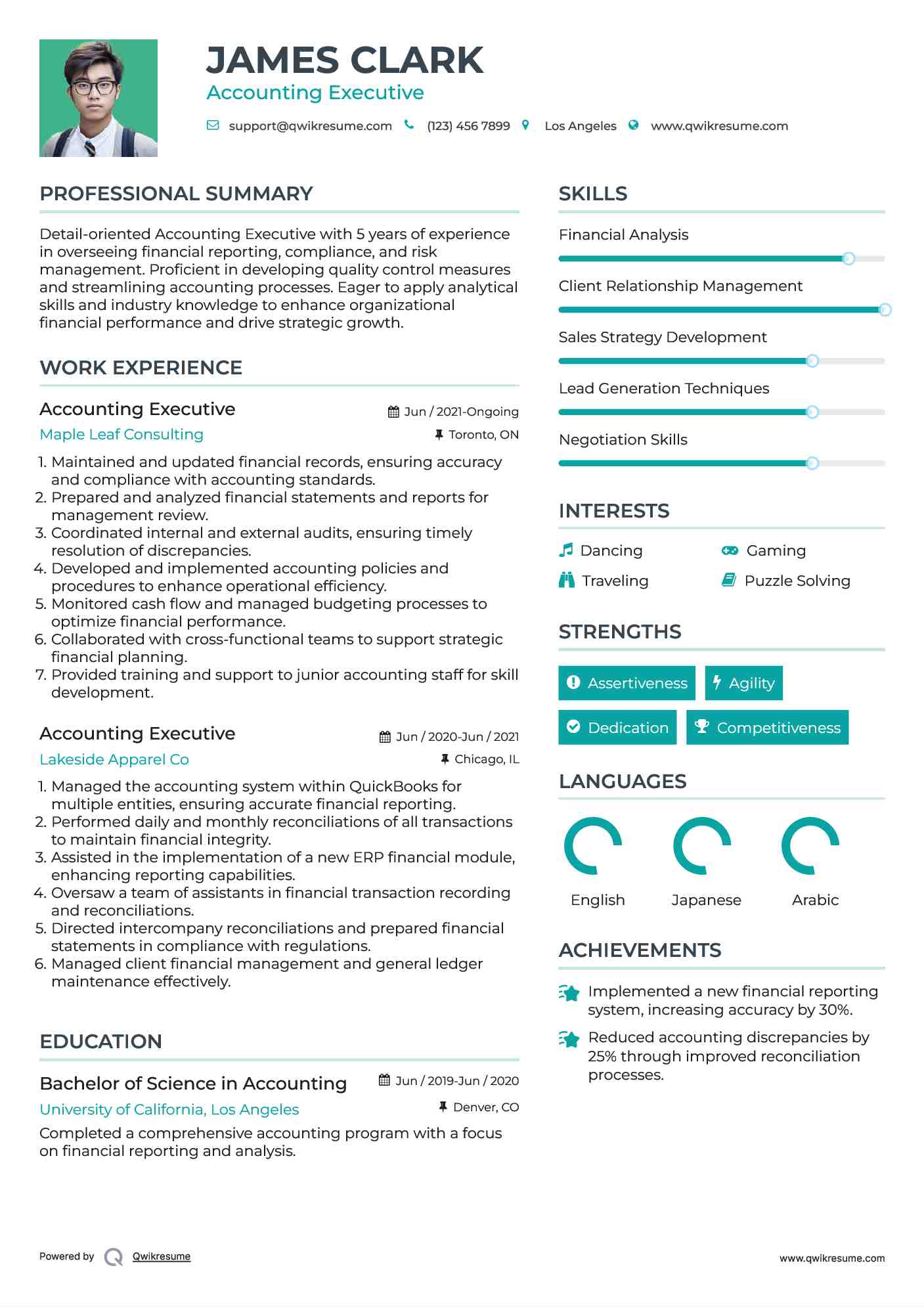 Accounting Executive Resume Example