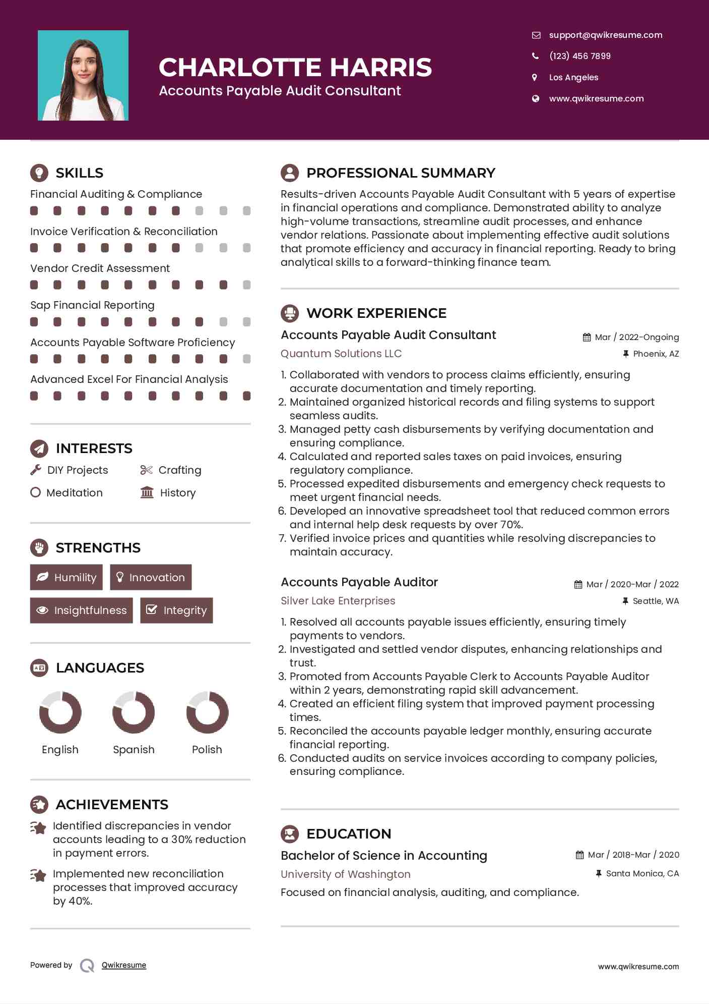 Accounts Payable Audit Consultant Resume Template