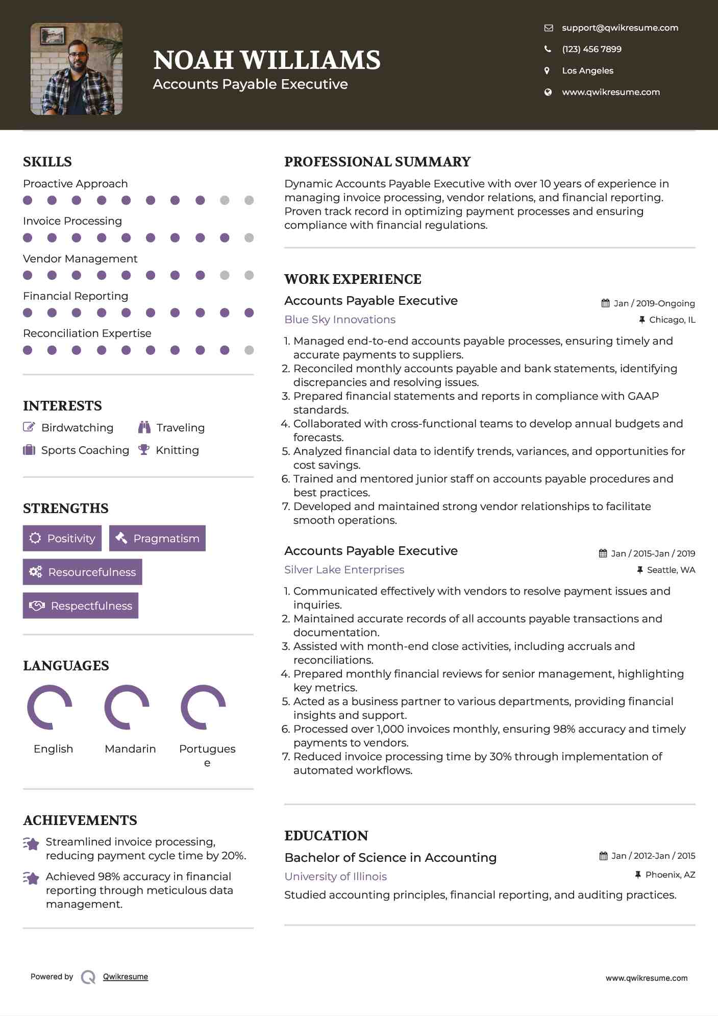 Accounts Payable Executive Resume Format
