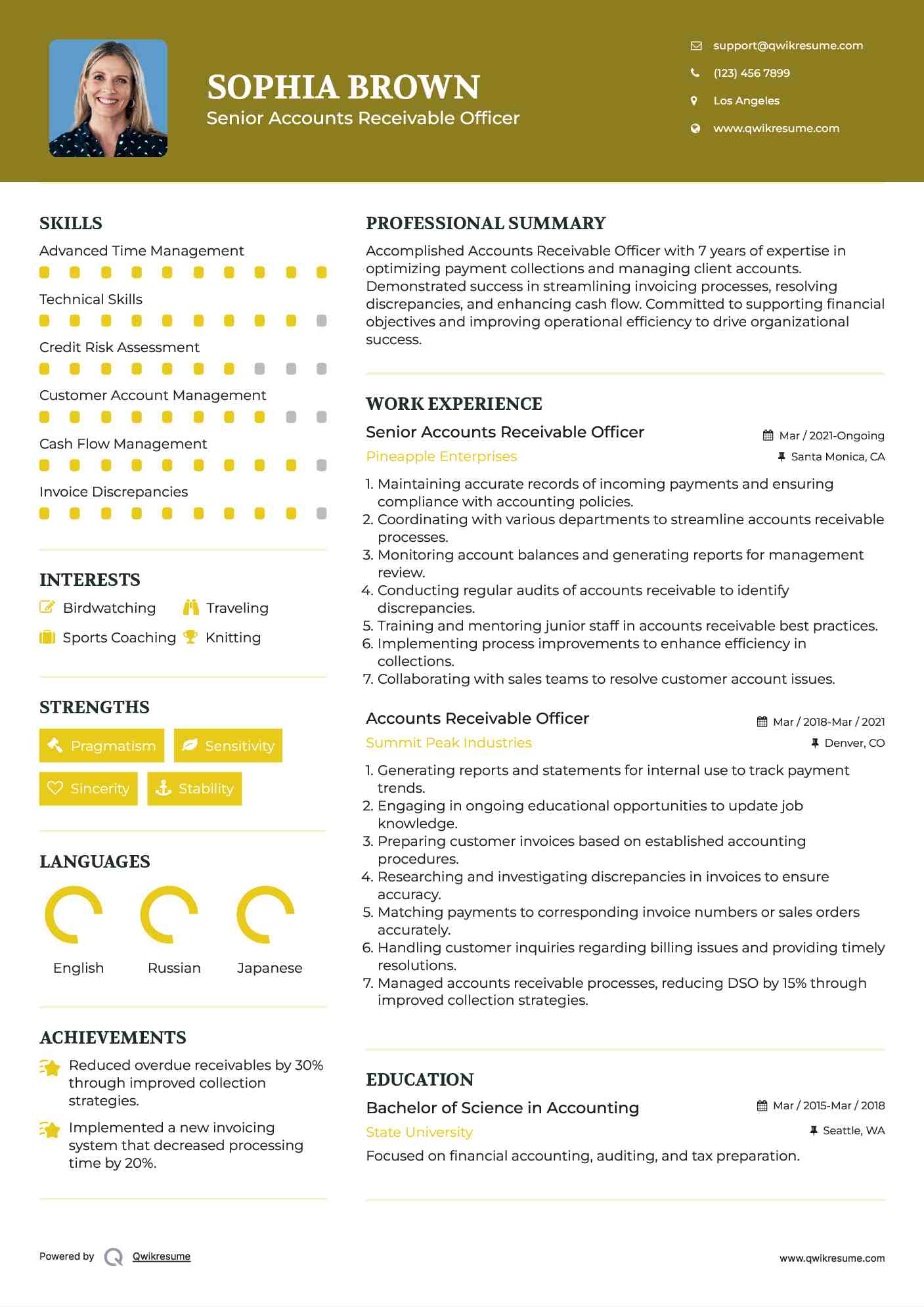 Senior Accounts Receivable Officer Resume Model