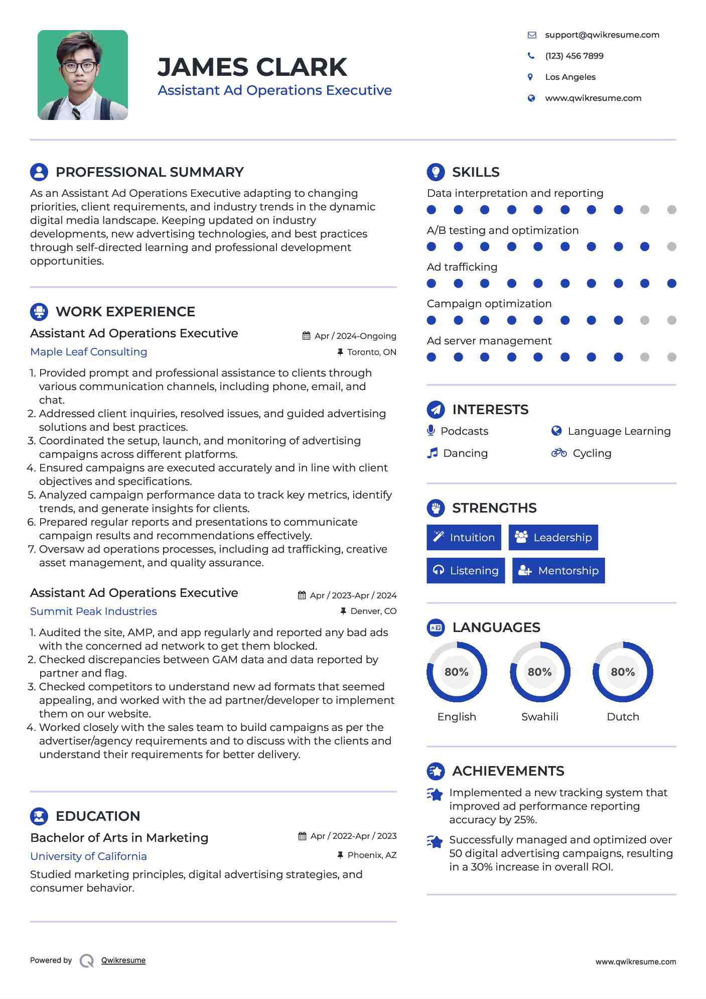 Assistant Ad Operations Executive  Resume Model