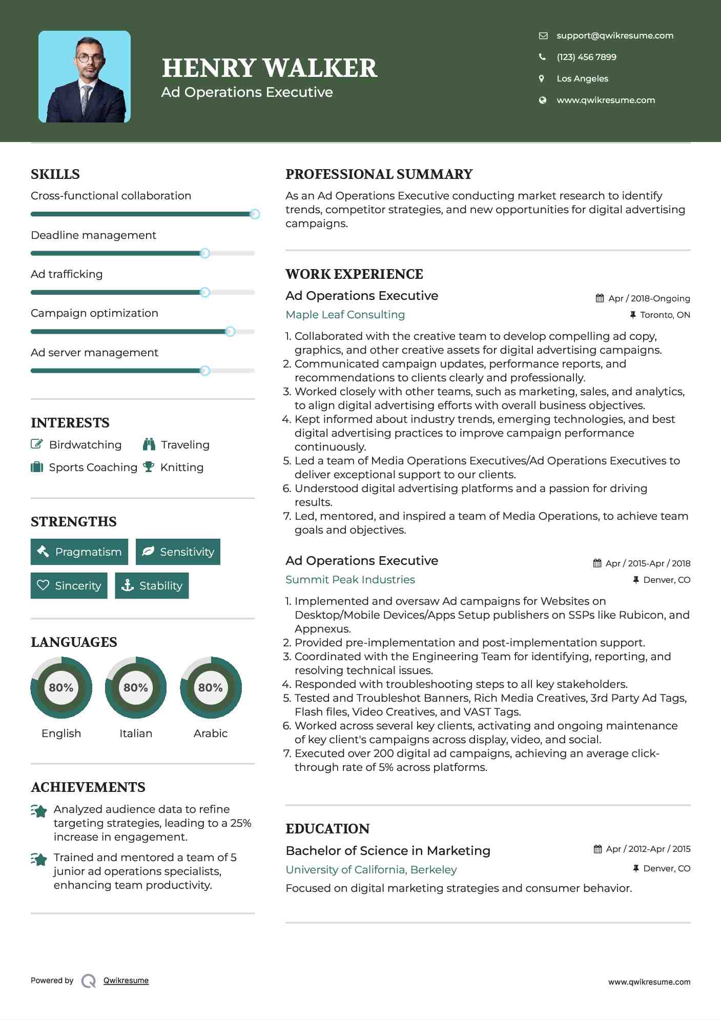 Ad Operations Executive  Resume Model