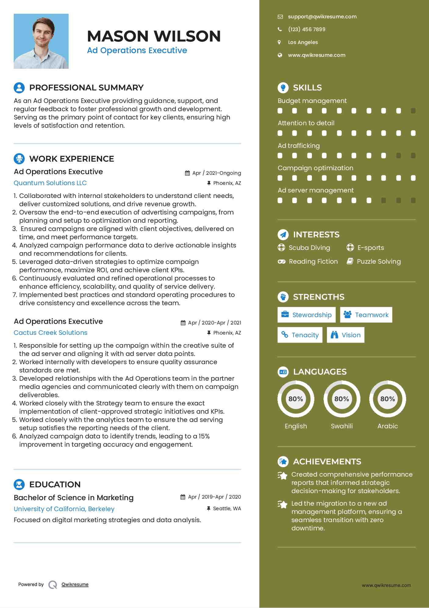 Ad Operations Executive  Resume Template