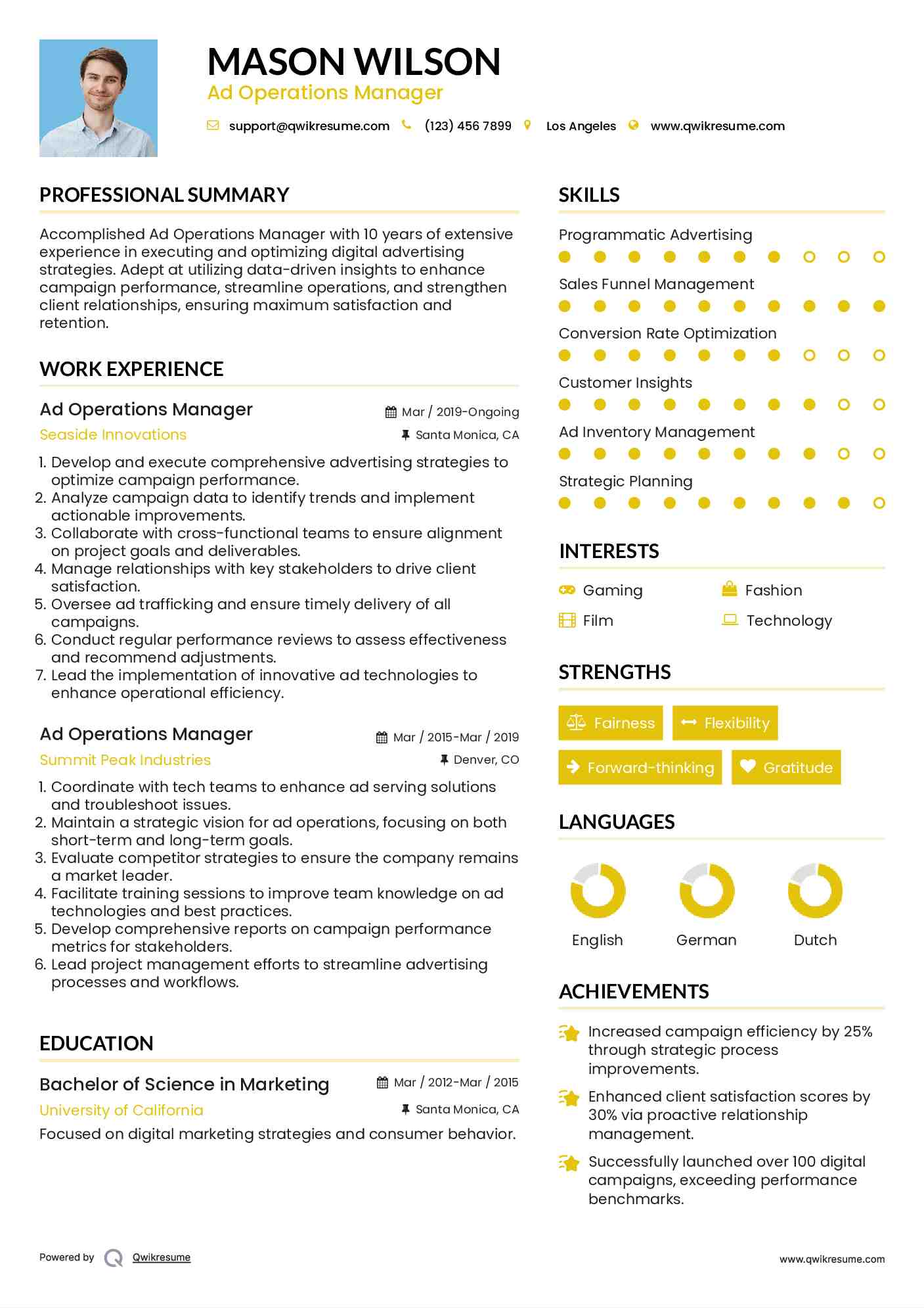 Ad Operations Manager Resume Sample