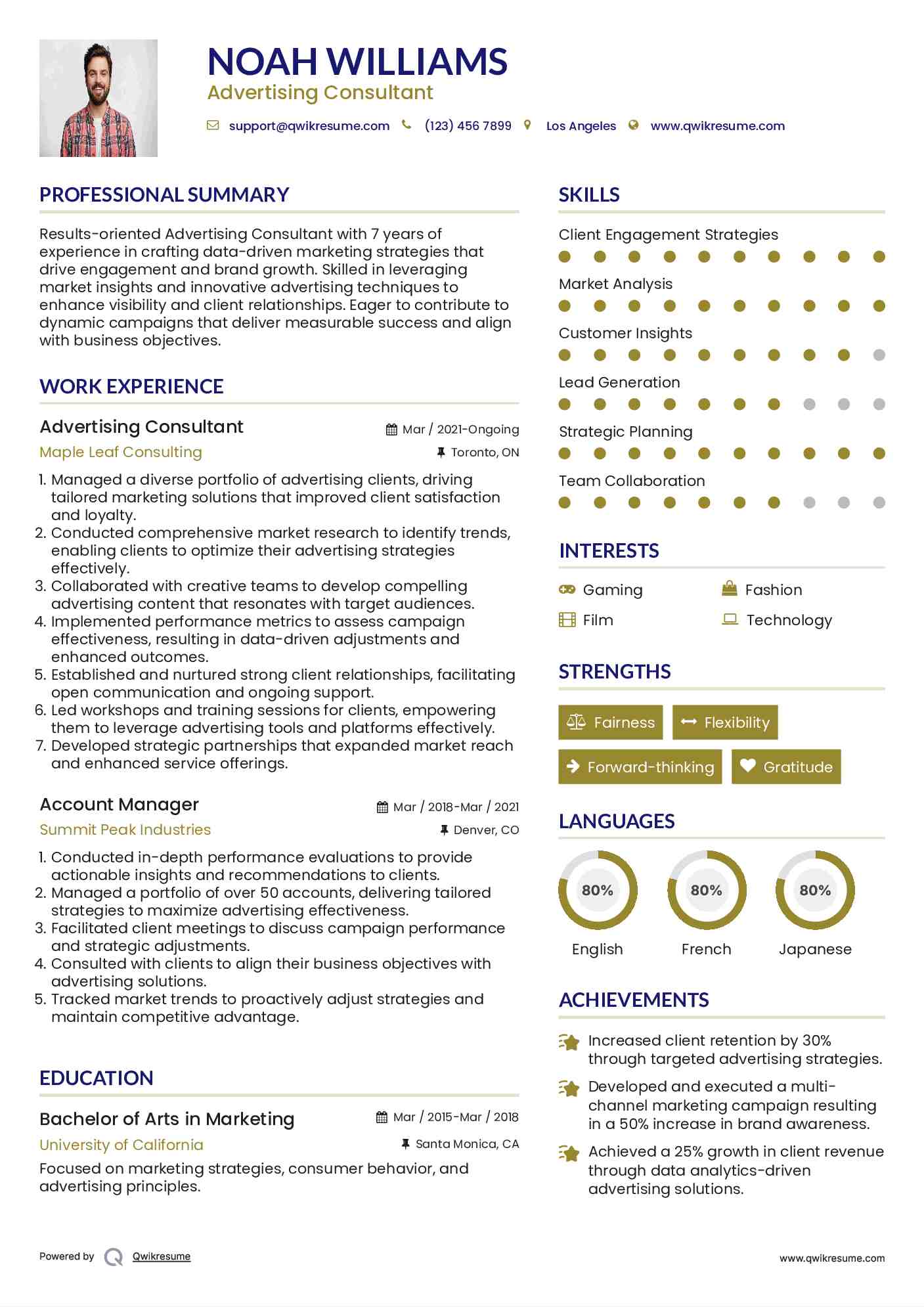 Advertising Consultant Resume Template