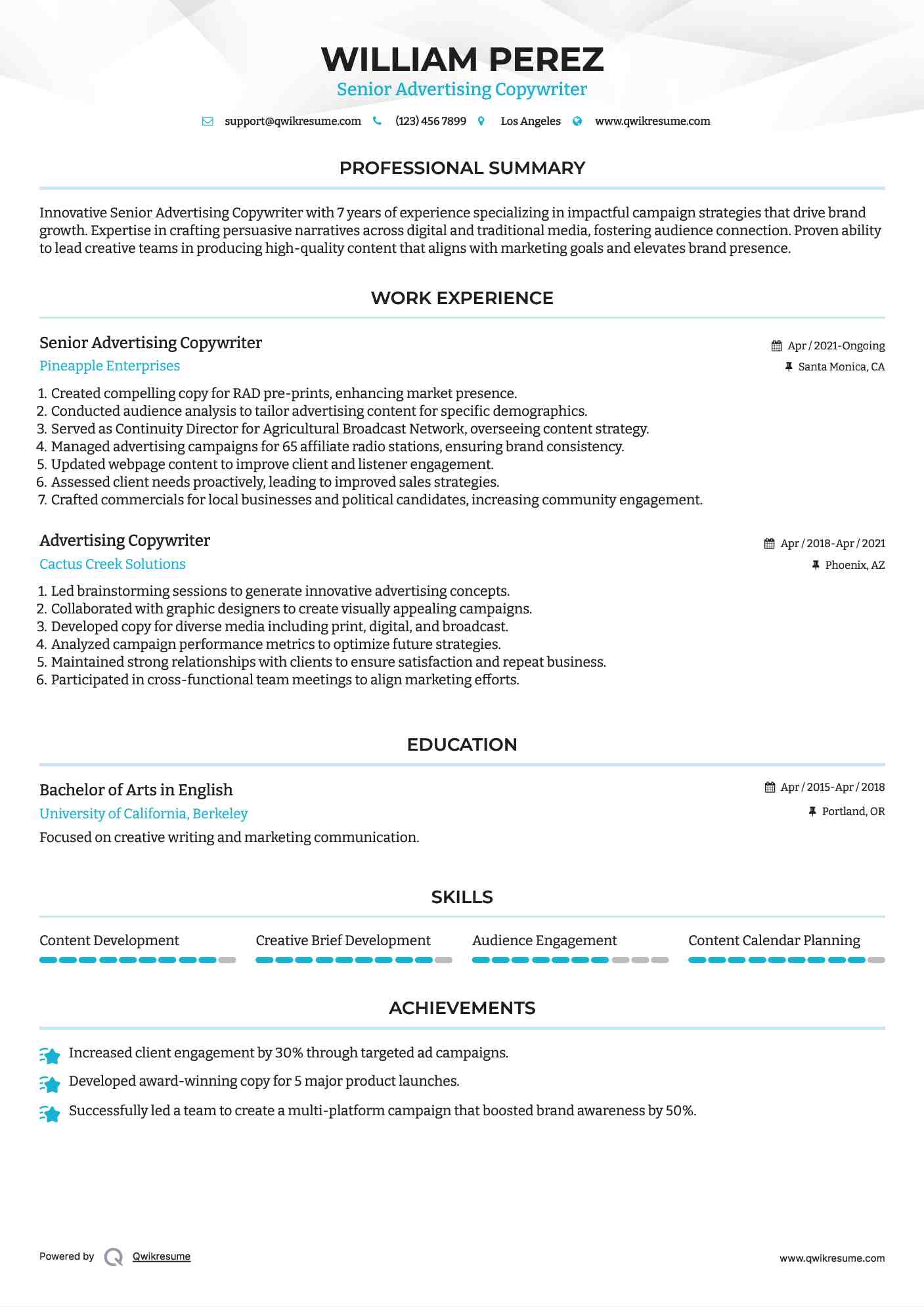 Senior  Advertising Copywriter Resume Format