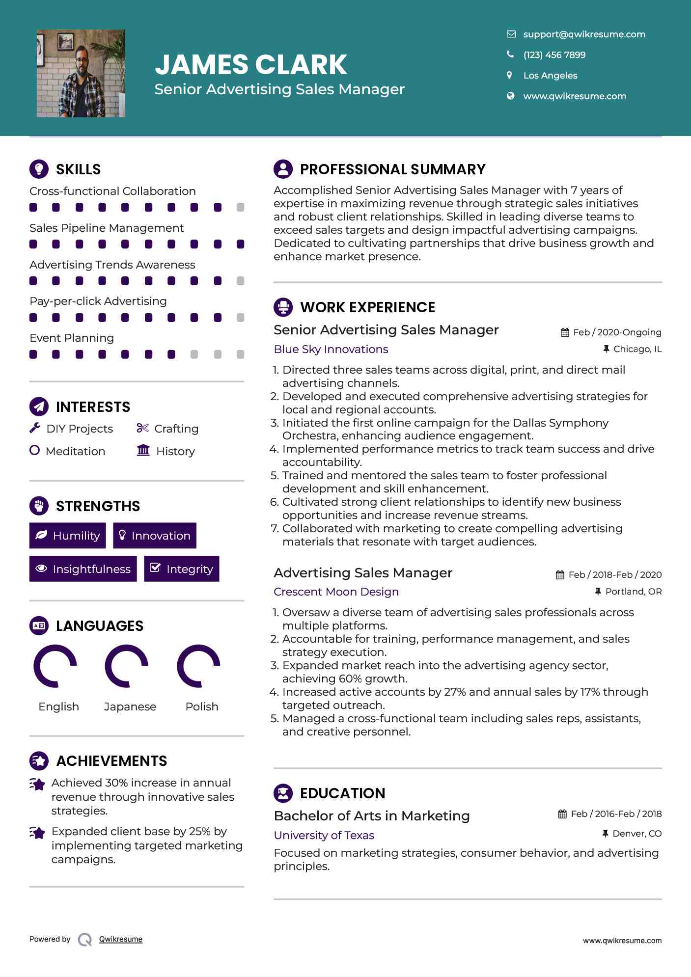 Senior Advertising Sales Manager Resume Format