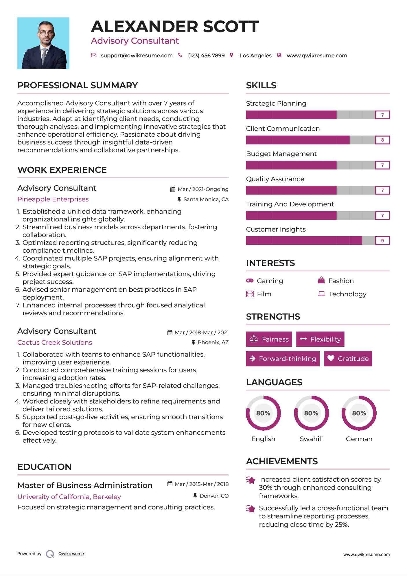 Advisory Consultant Resume Template
