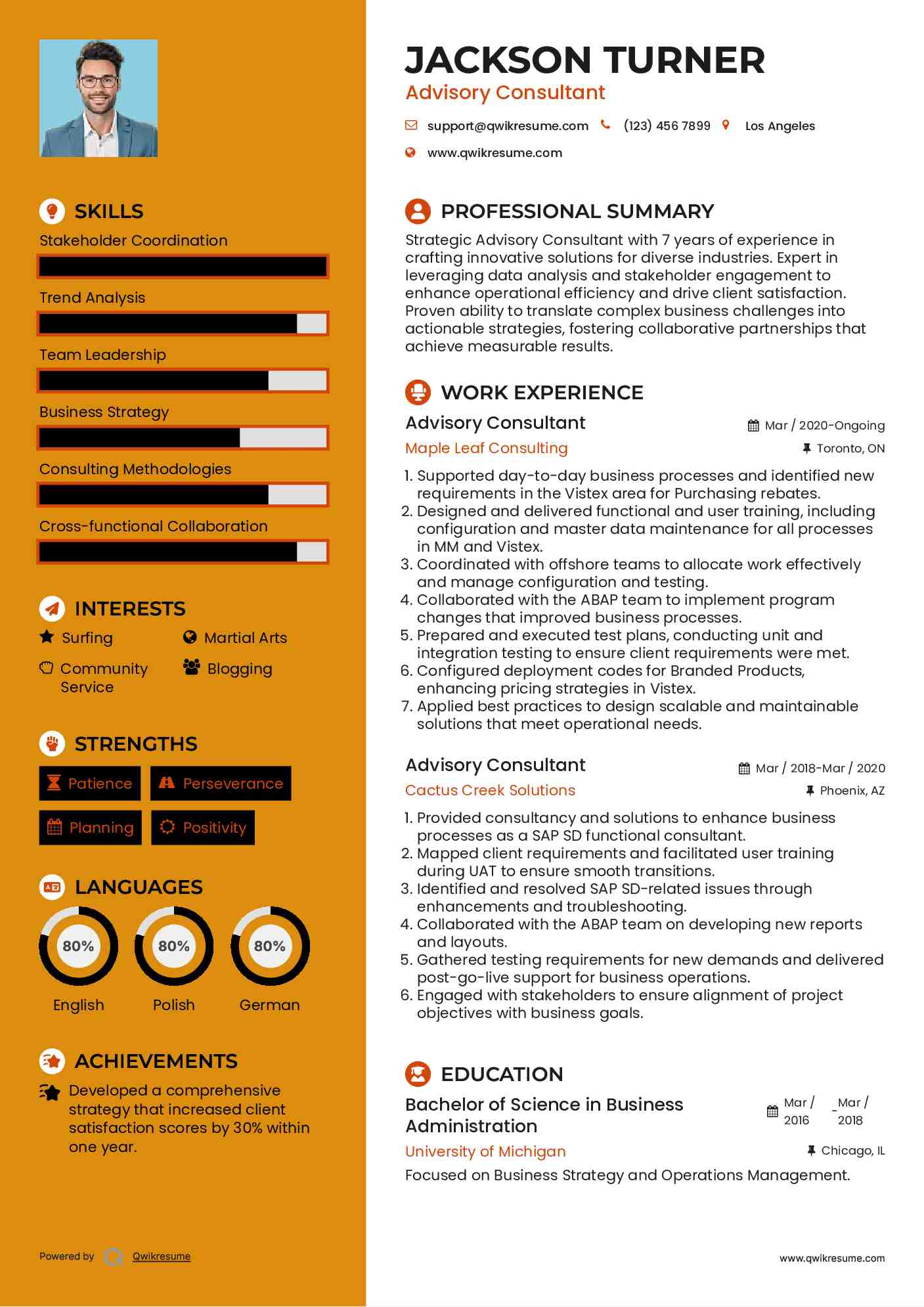 Advisory Consultant Resume Model