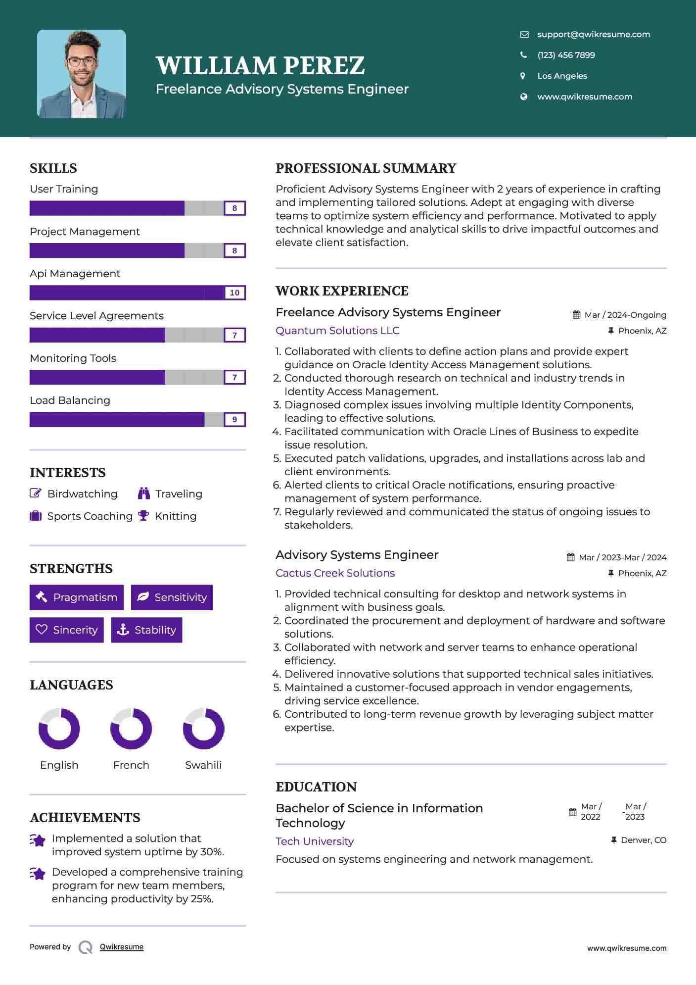 Freelance Advisory Systems Engineer Resume Model