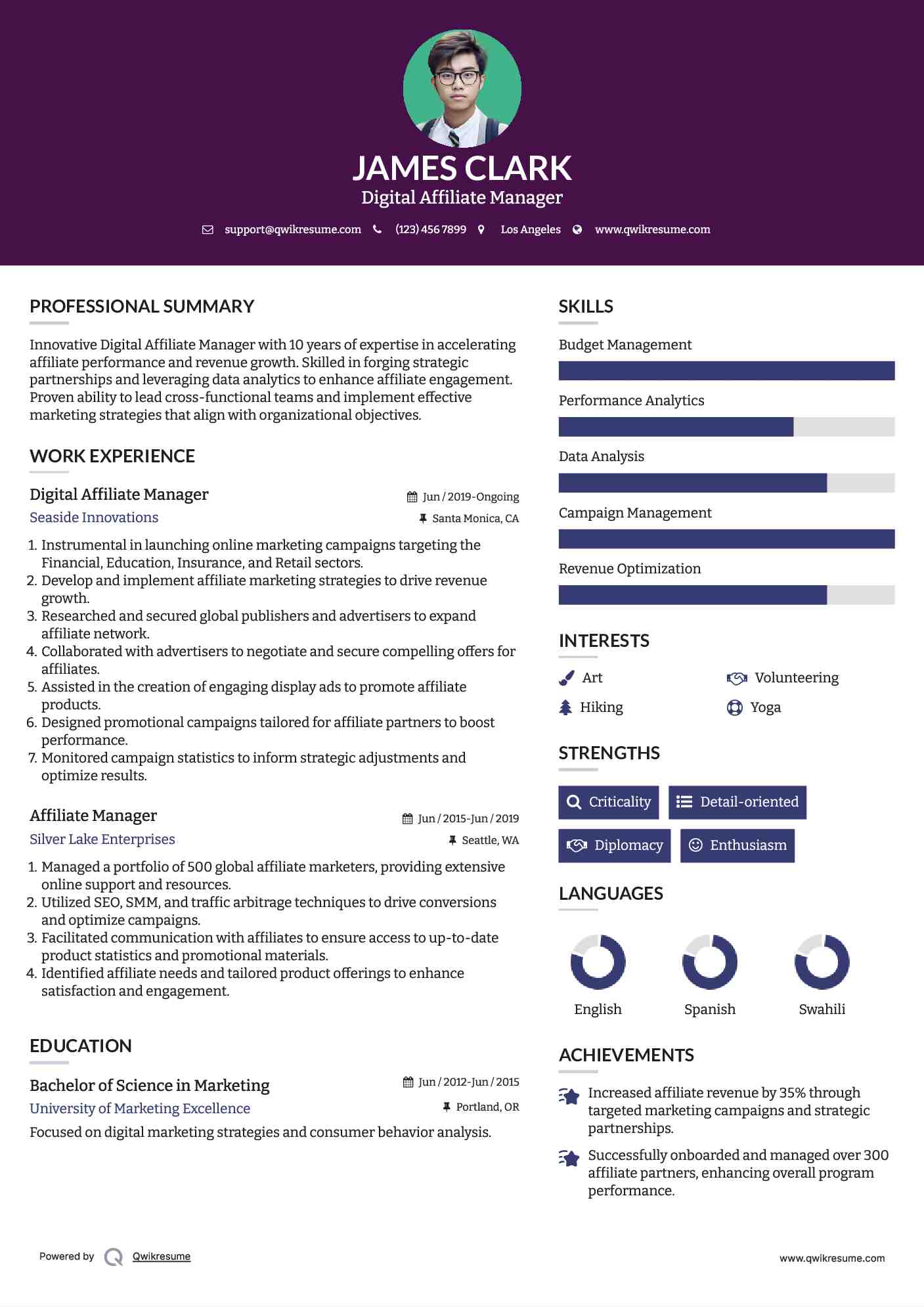 Digital Affiliate Manager Resume Format