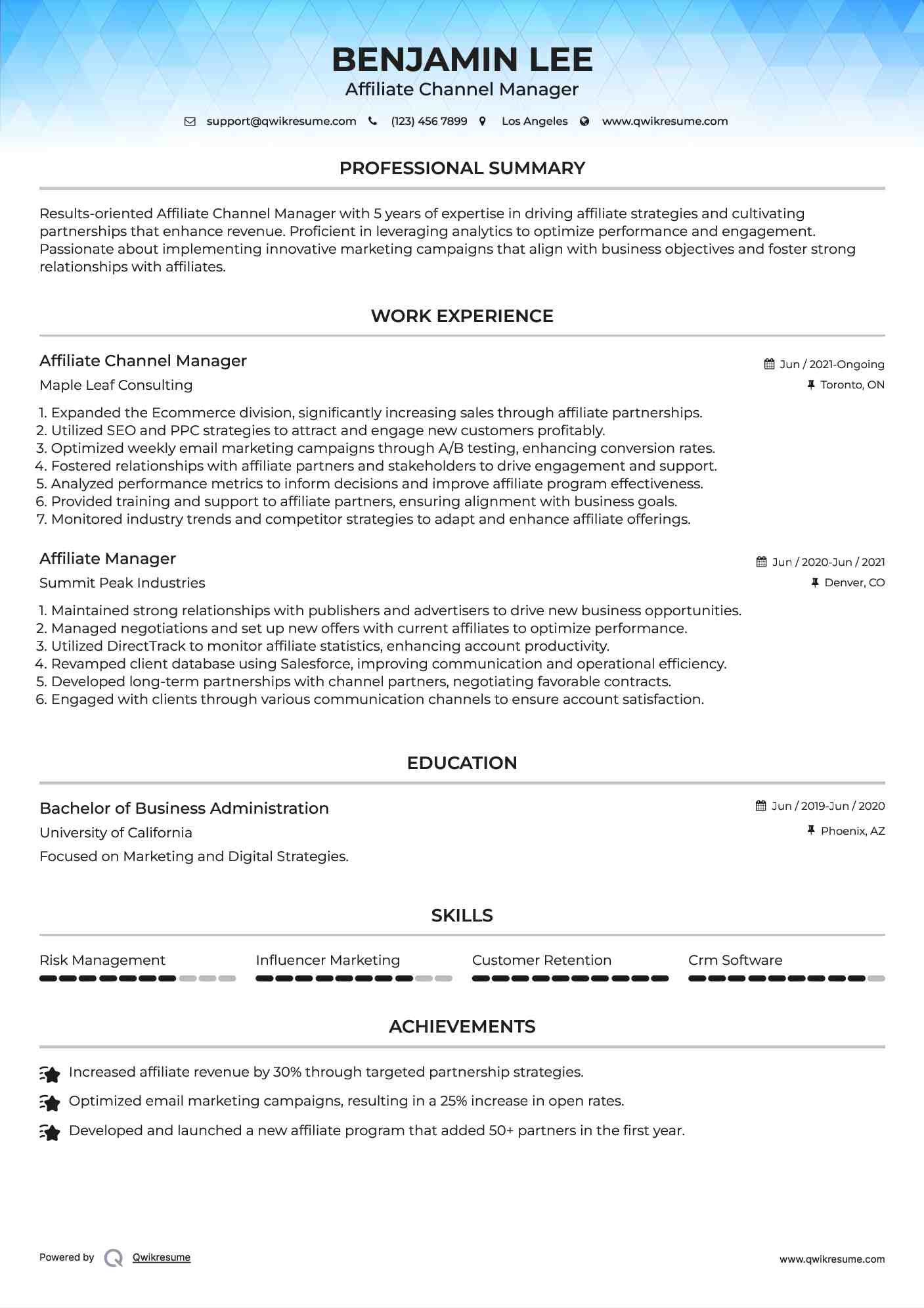 Affiliate Channel Manager Resume Sample