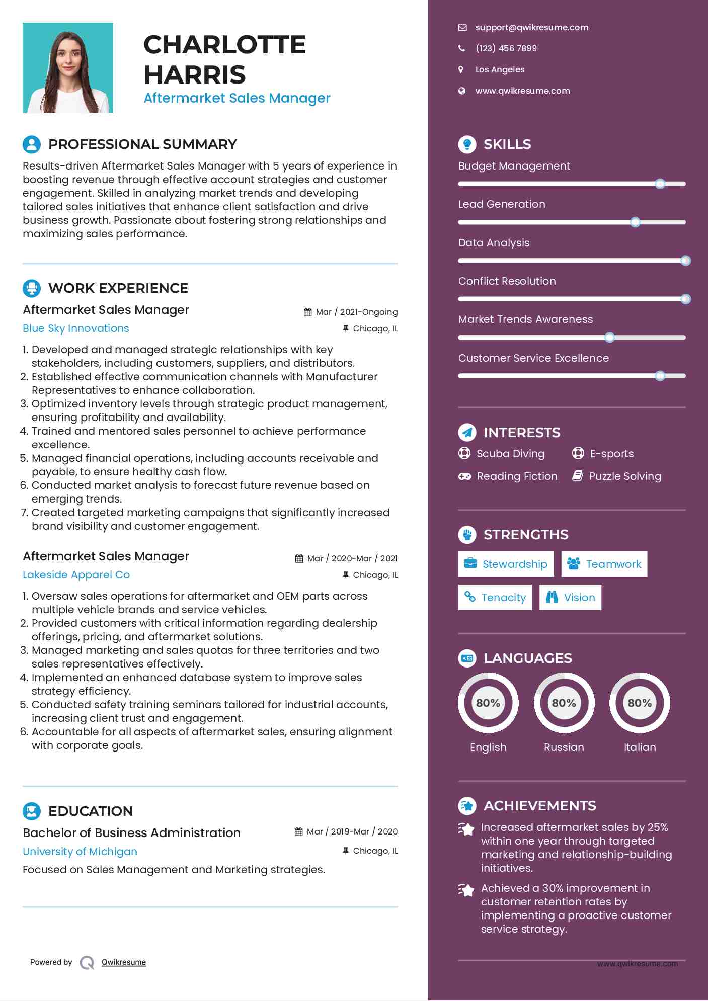 Aftermarket Sales Manager Resume Example