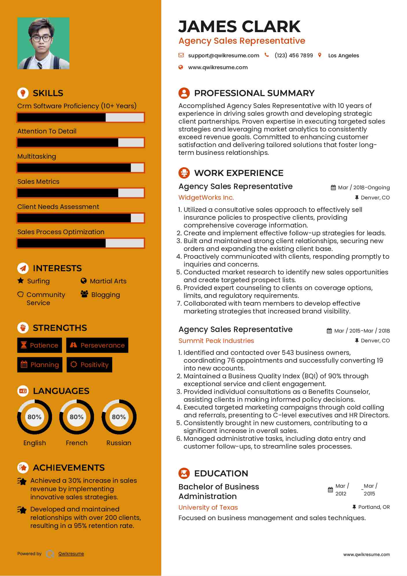 Agency Sales Representative Resume Model