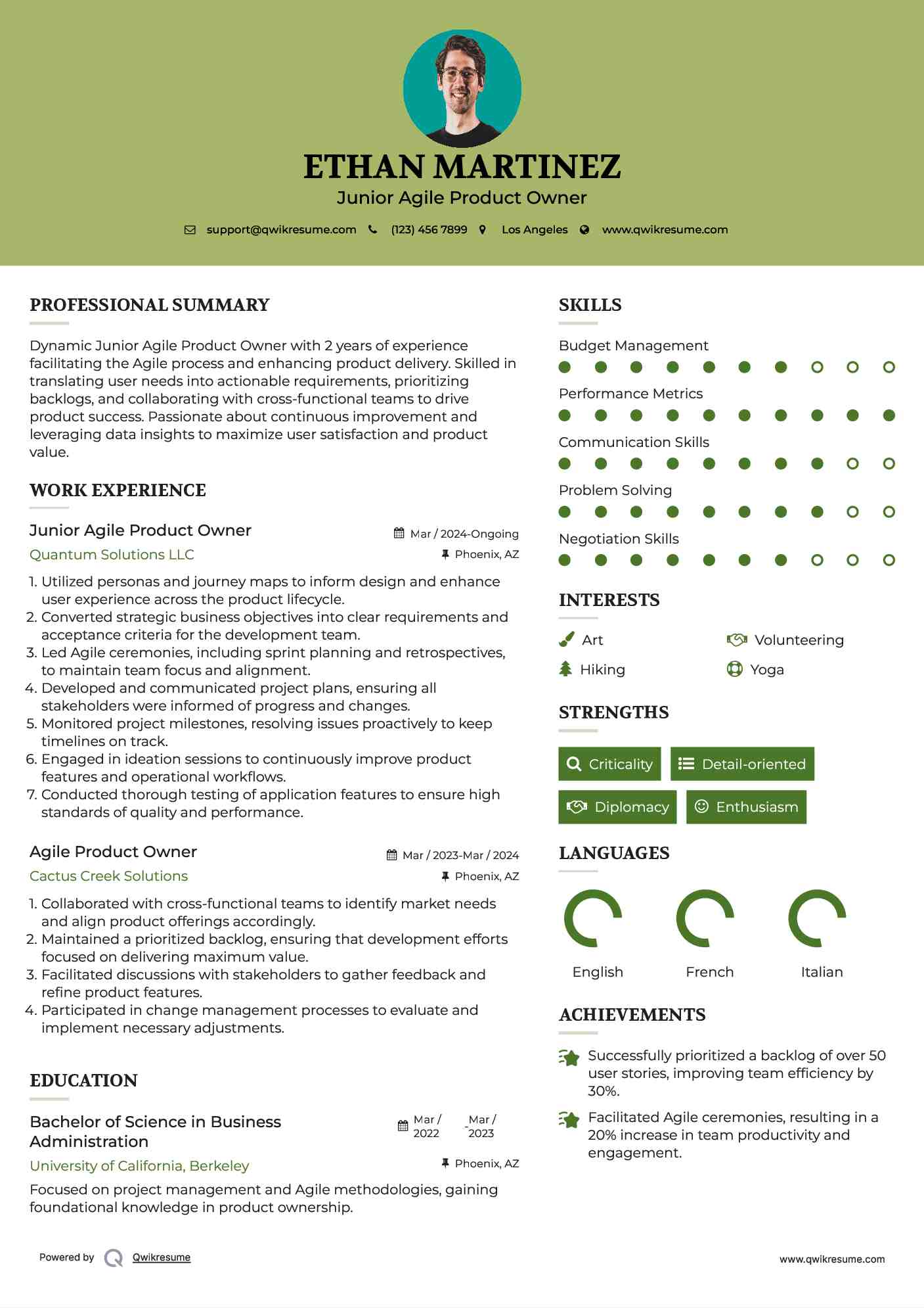 Junior Agile Product Owner Resume Sample