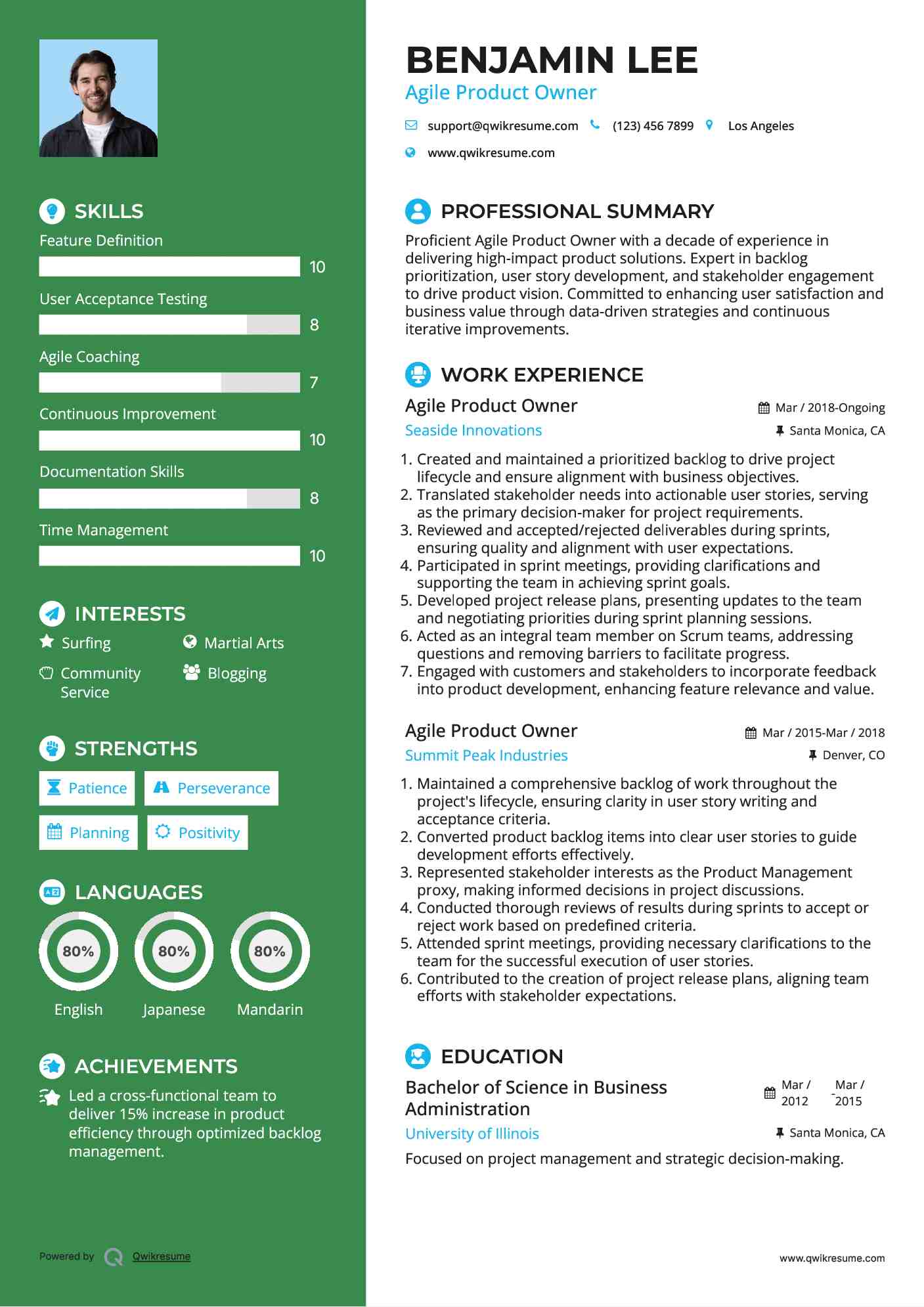 Agile Product Owner Resume Model