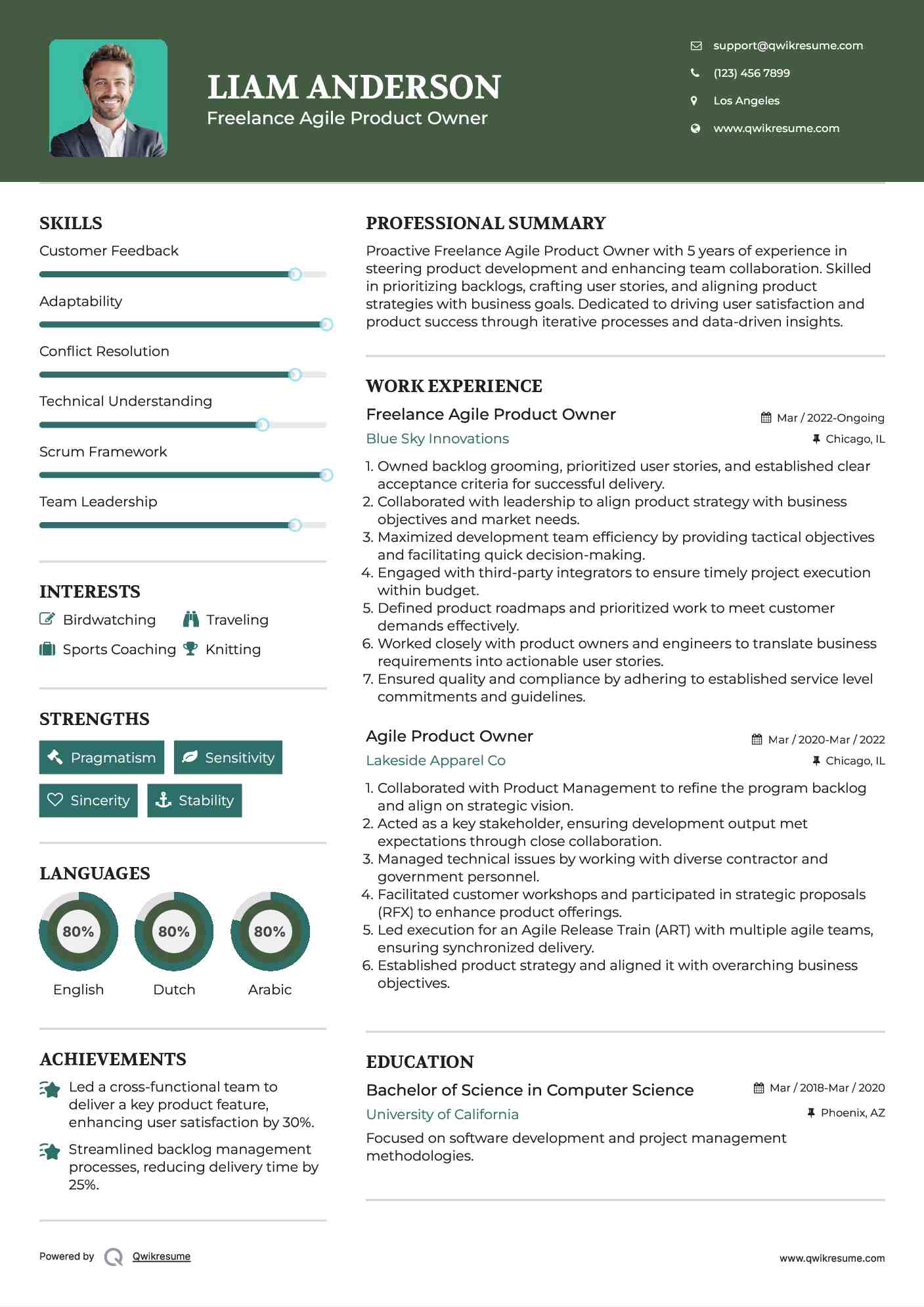 Freelance Agile Product Owner Resume Model