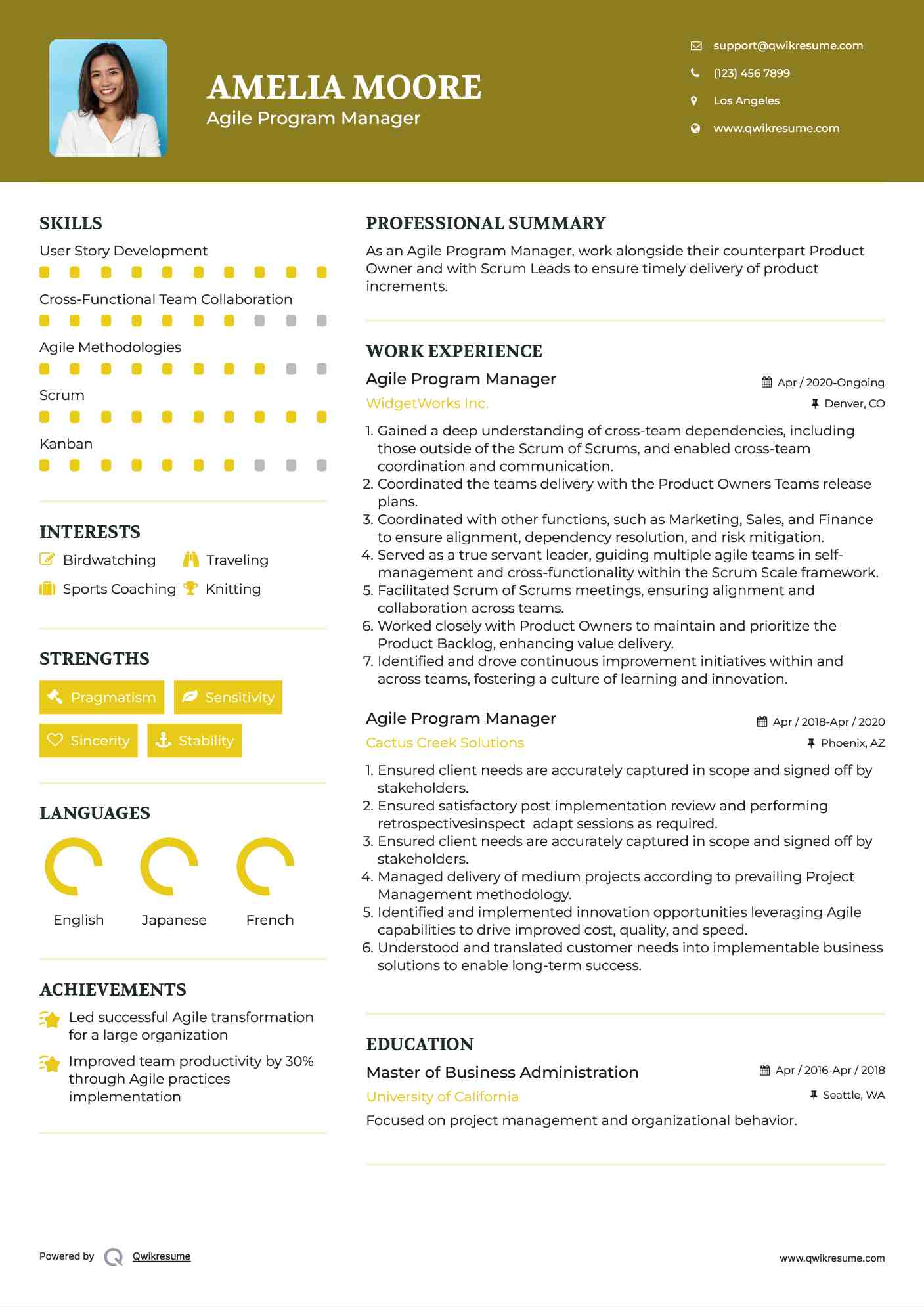 Agile Program Manager Resume Example