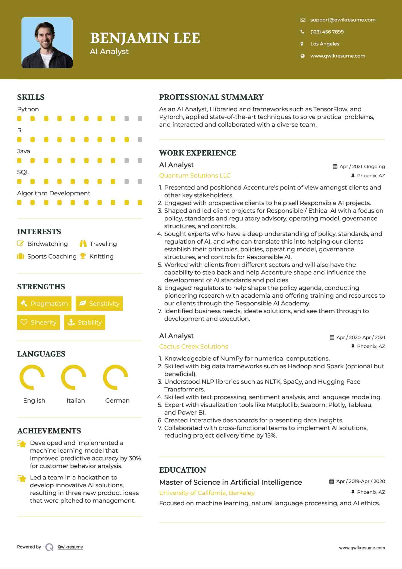 AI Analyst Resume Sample