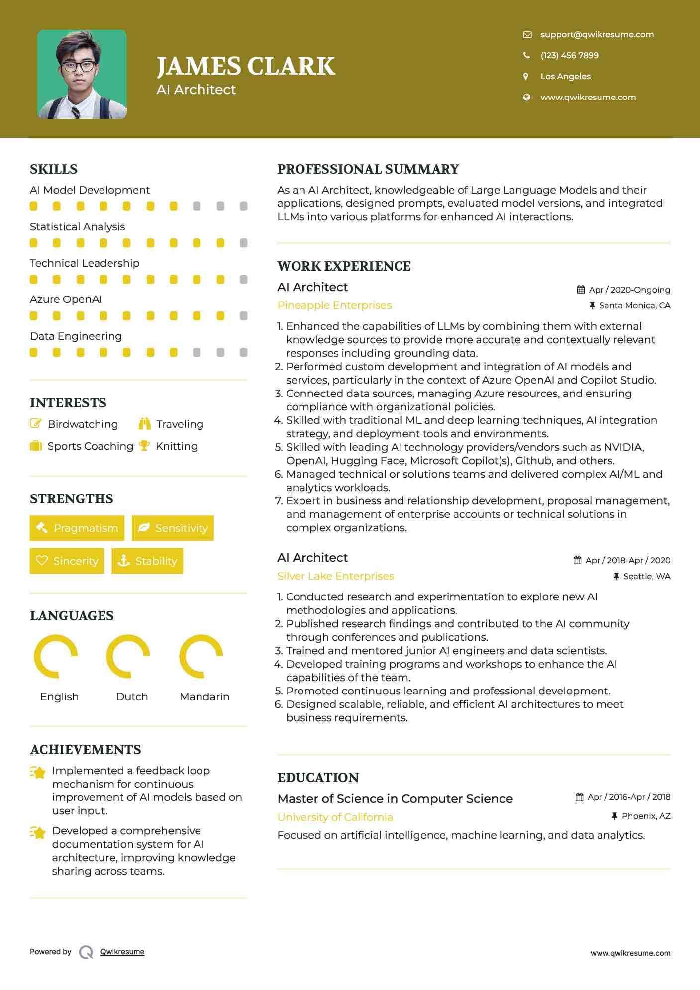 AI Architect Resume Format