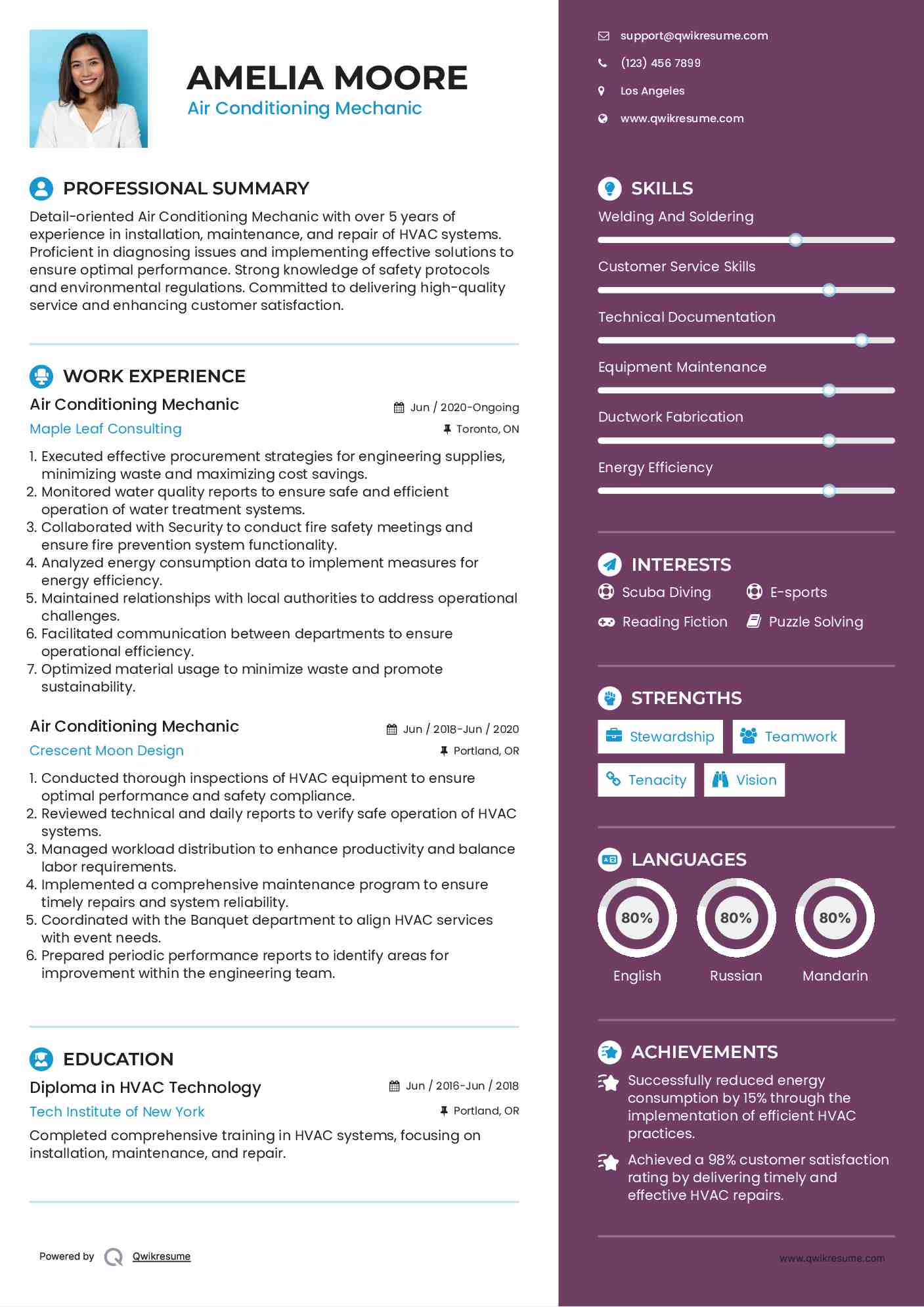 Air Conditioning Mechanic Resume Format