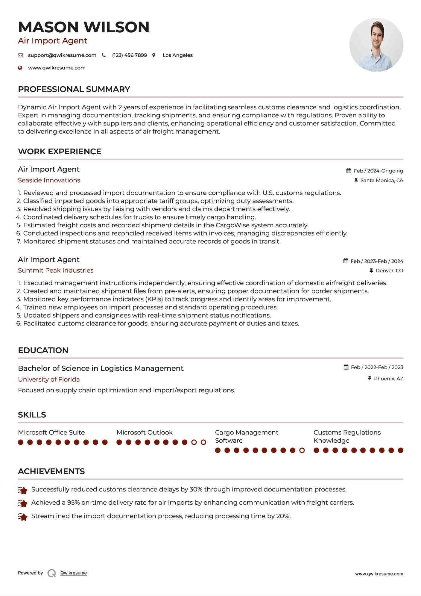 Air Import Agent Resume Example