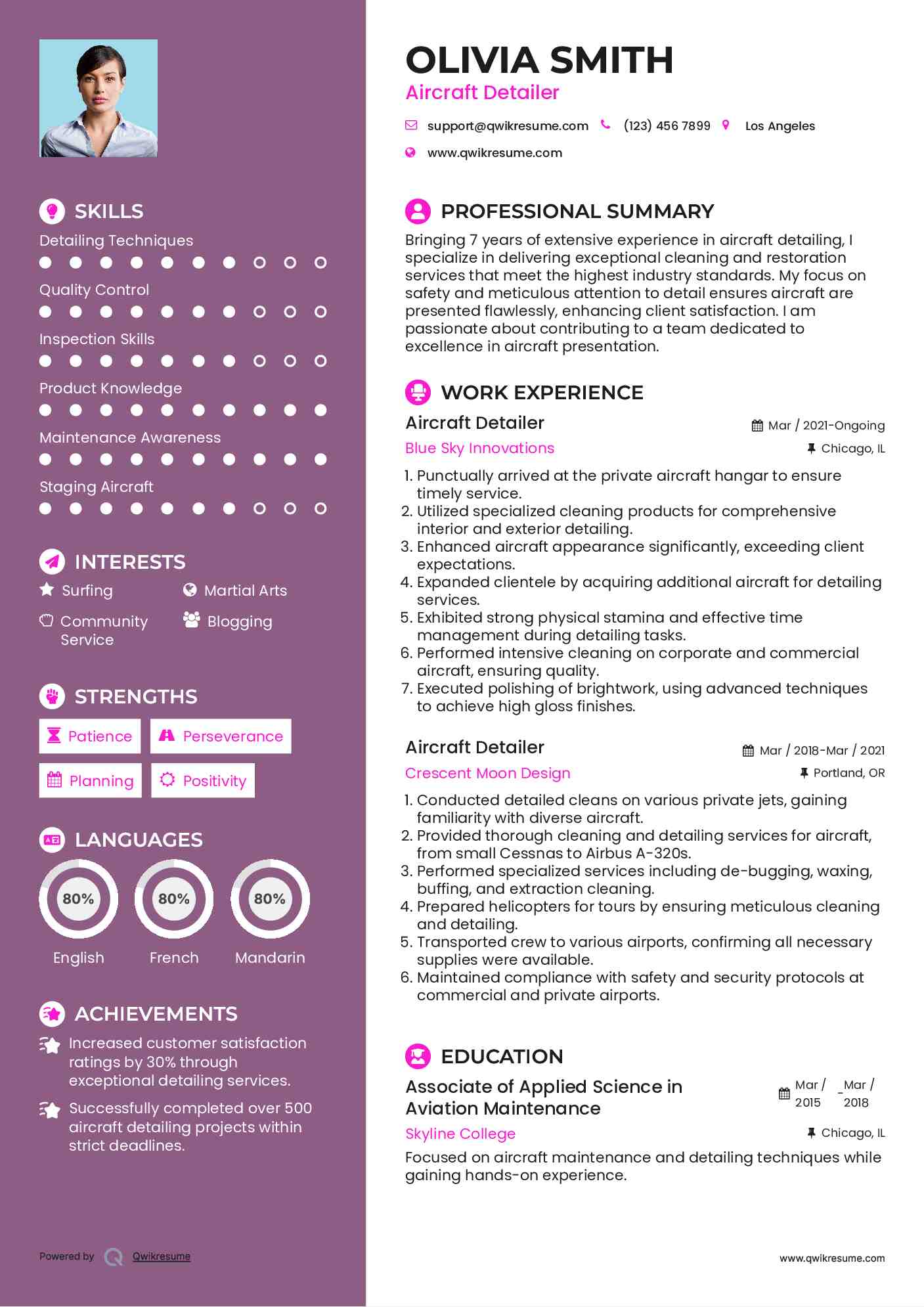 Aircraft Detailer Resume Example