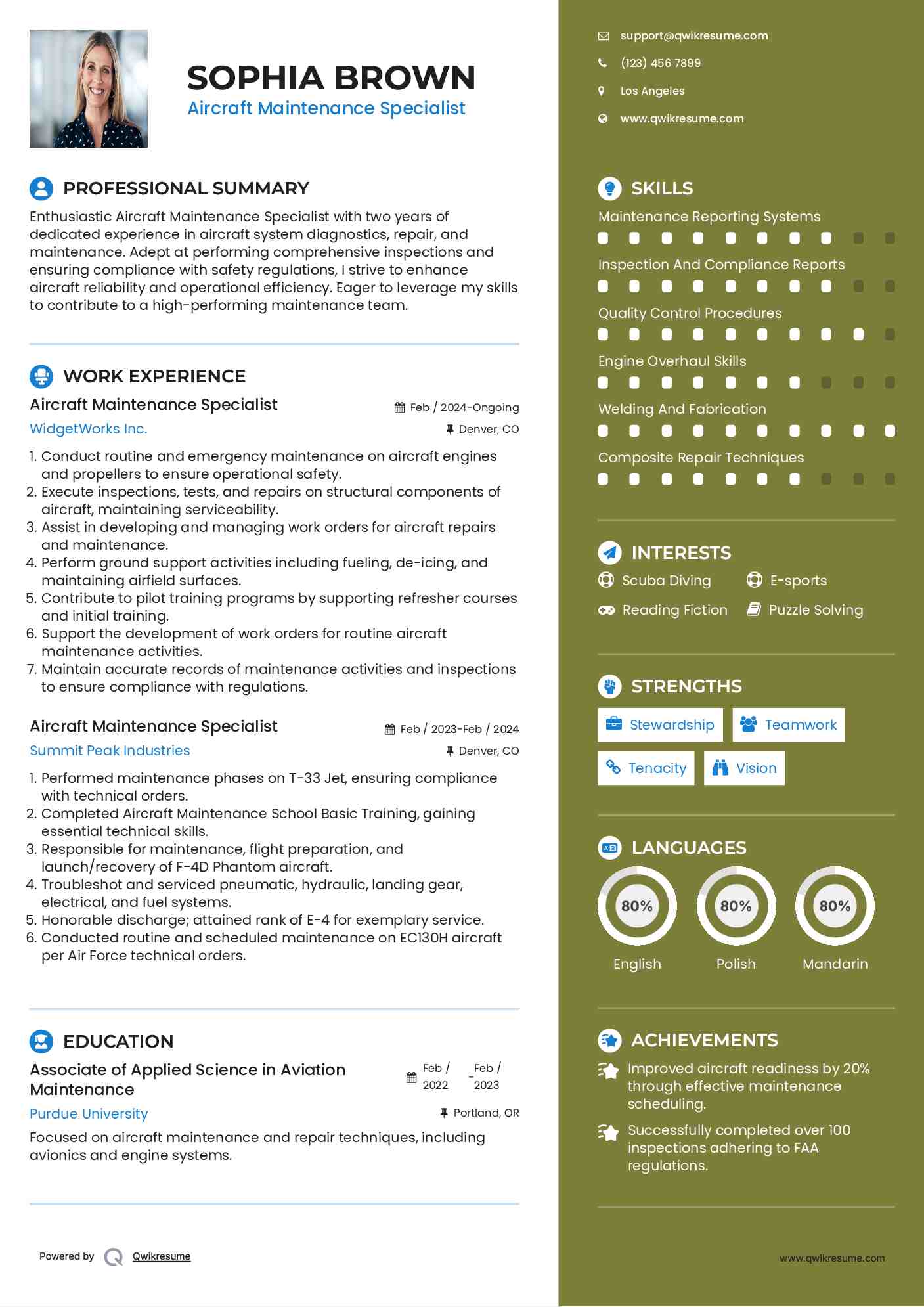 Aircraft Maintenance Specialist Resume Sample