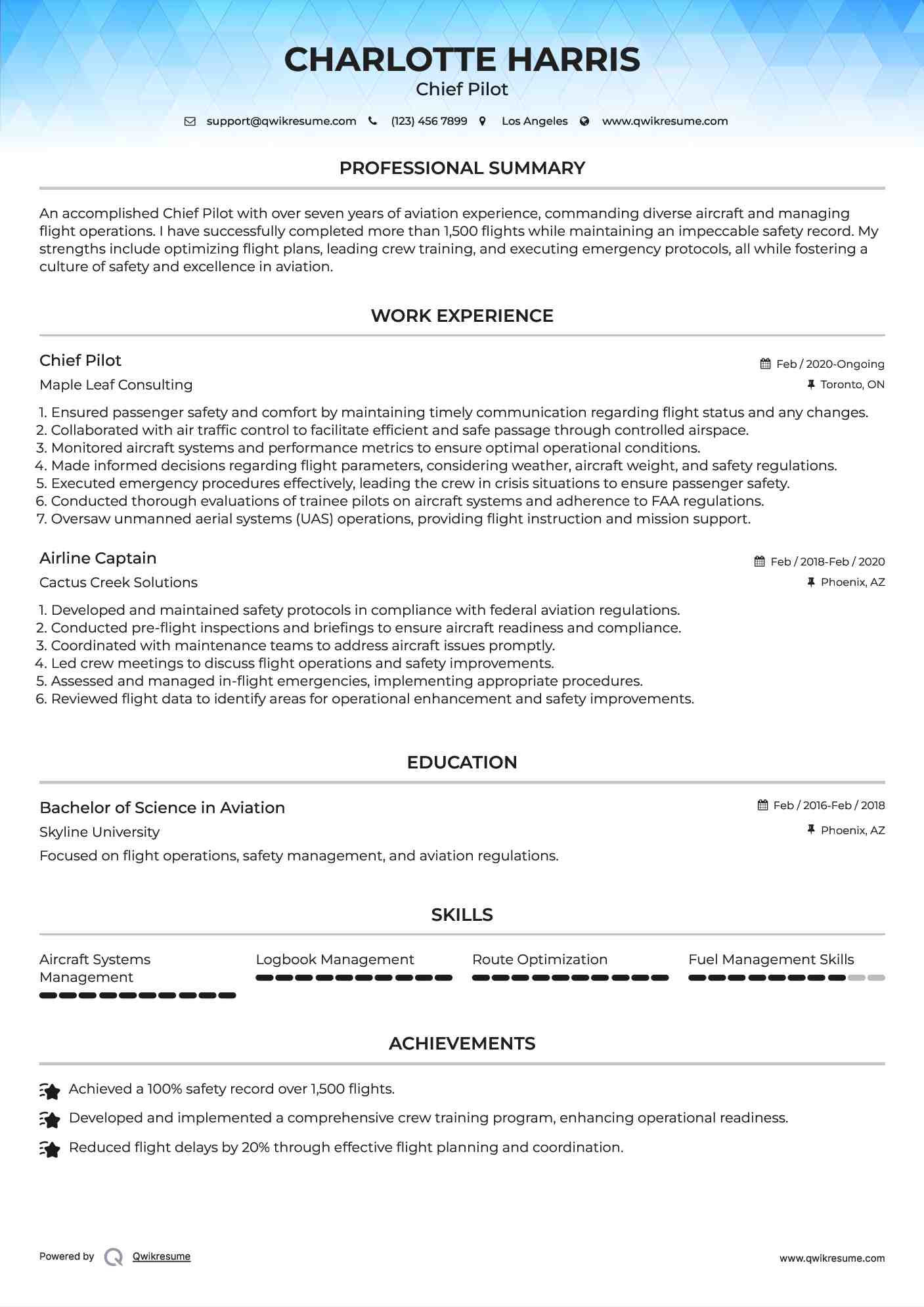 Chief Pilot Resume Model