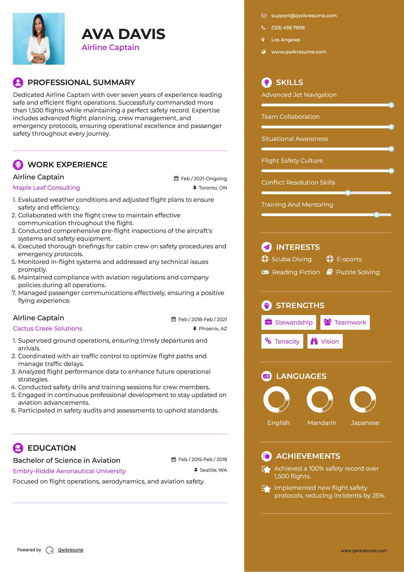 Airline Captain Resume Sample