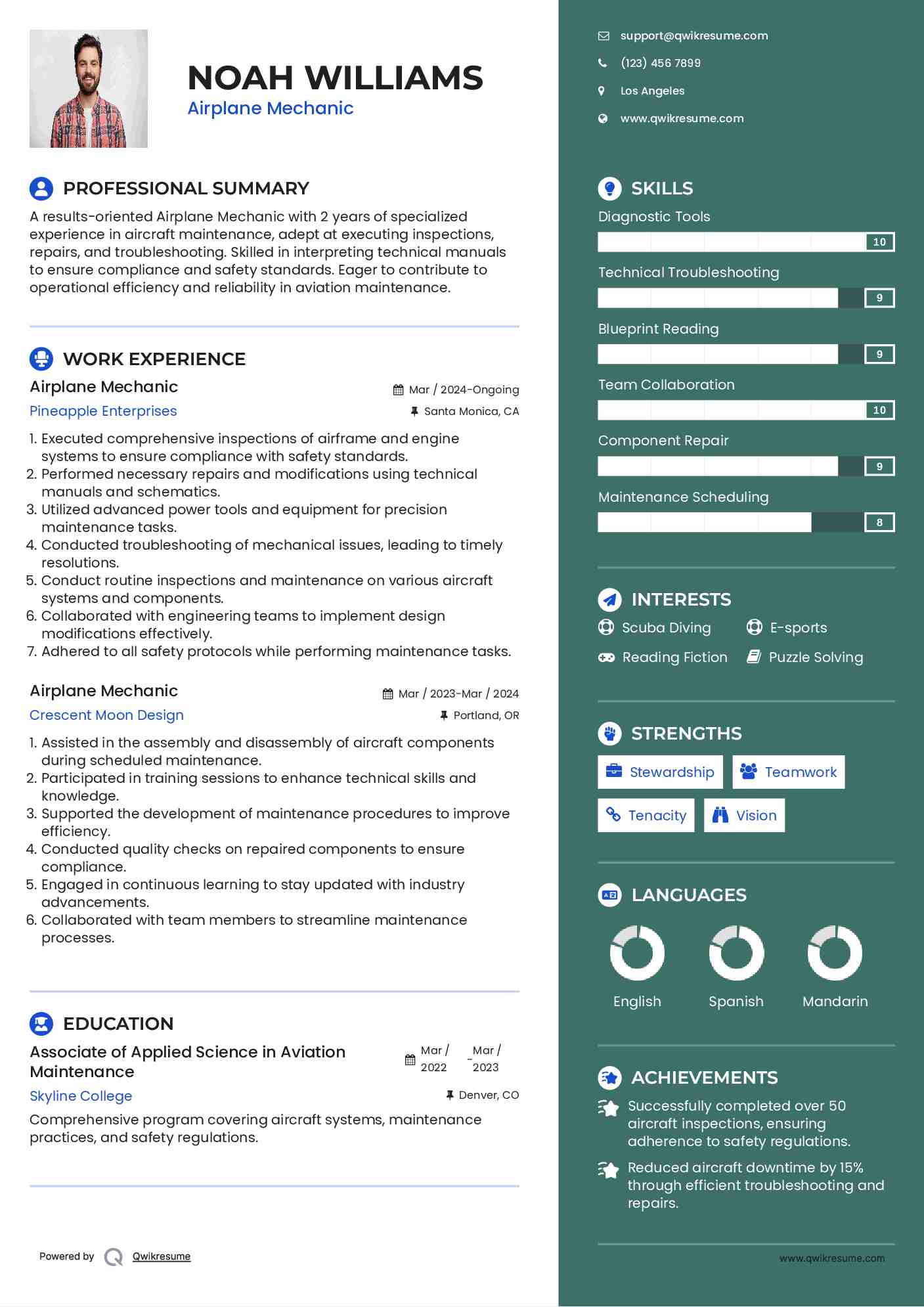 Airplane Mechanic Resume Example