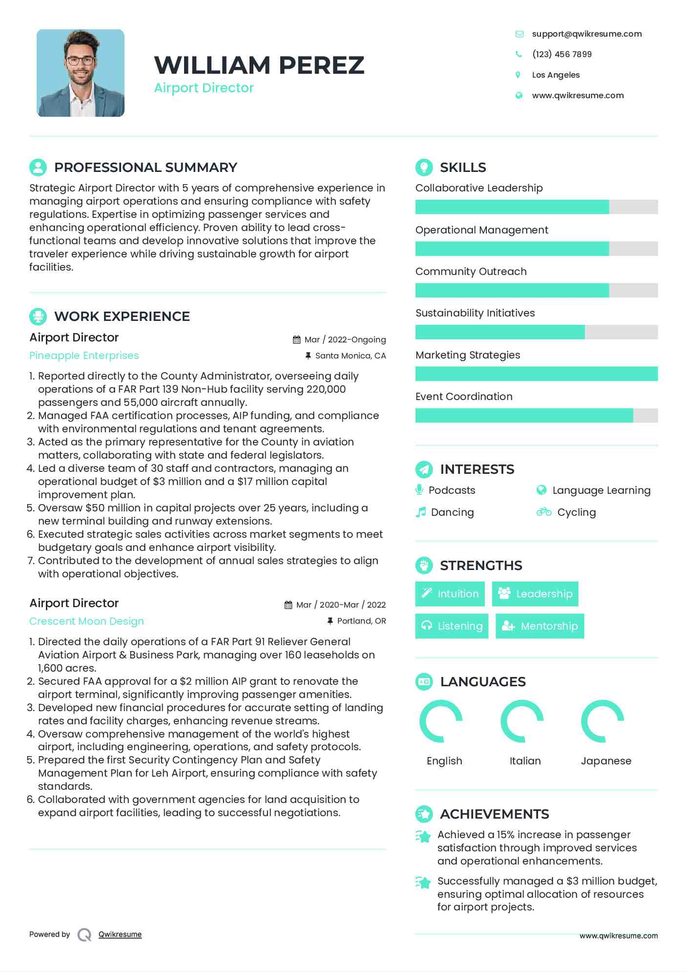 Airport Director Resume Model