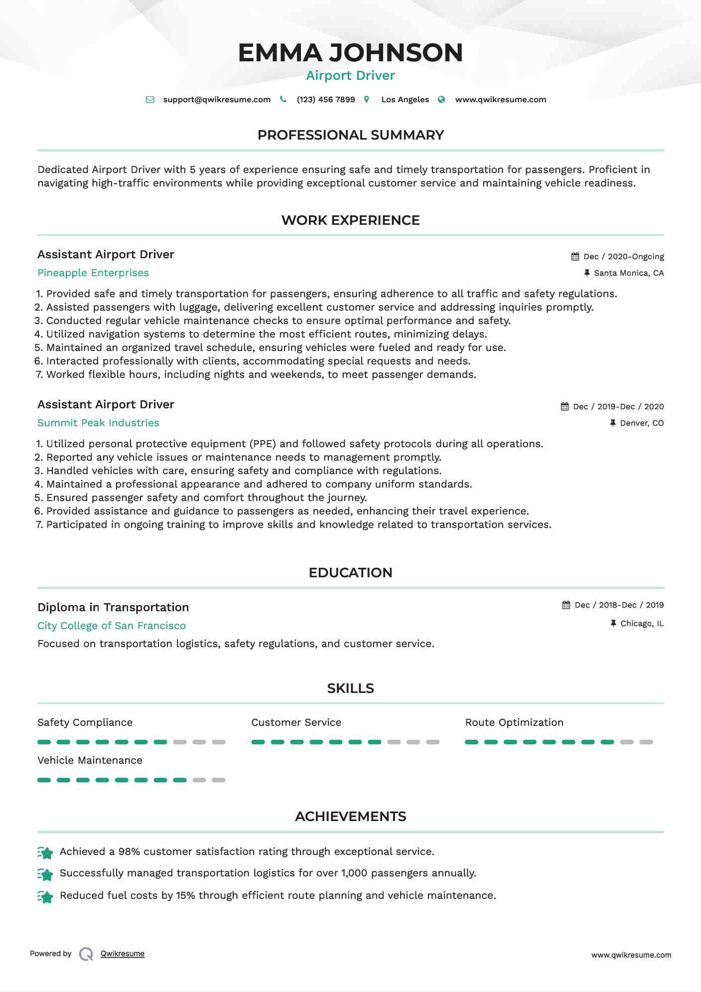 Assistant Airport Driver Resume Example