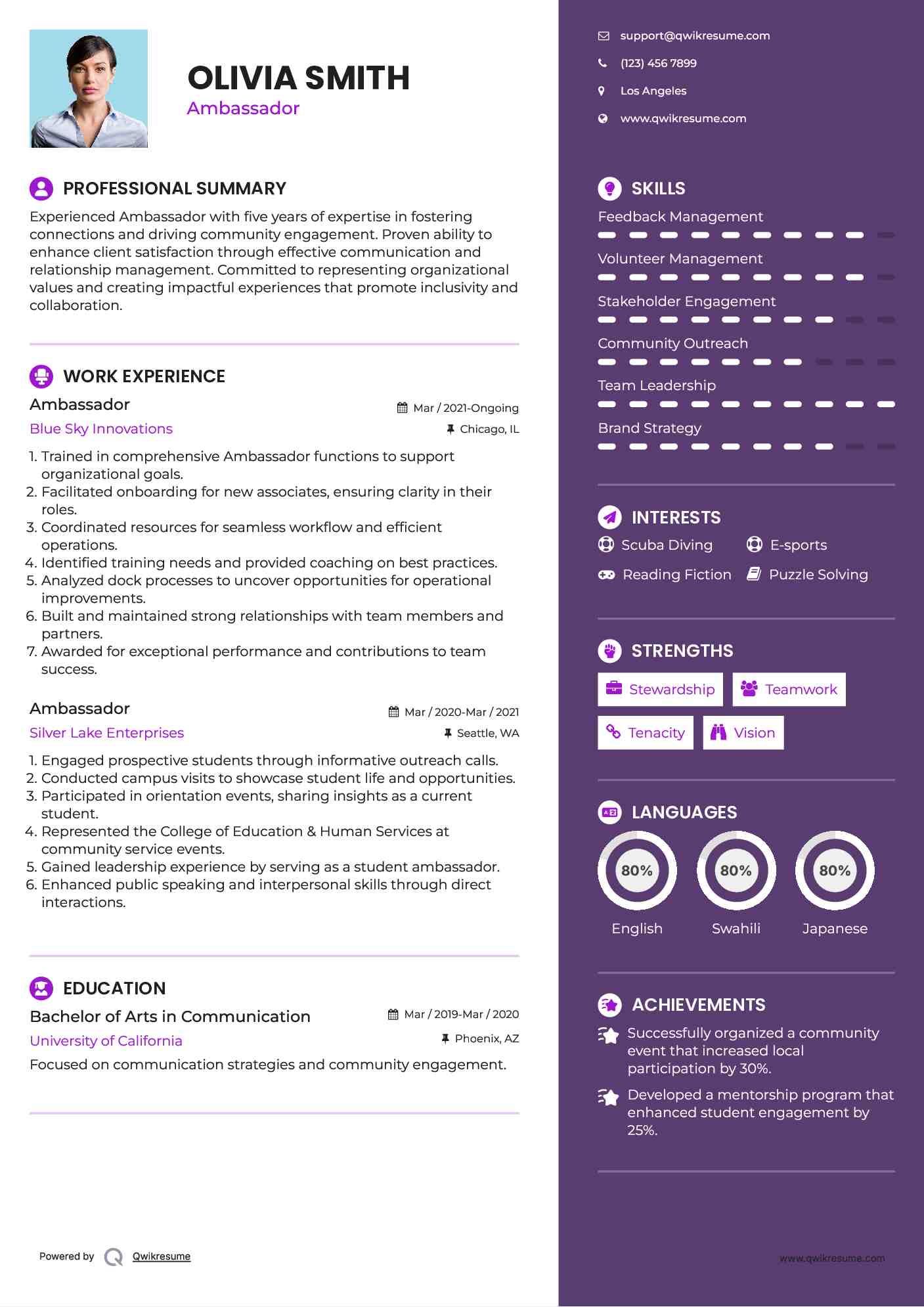 Ambassador Resume Example