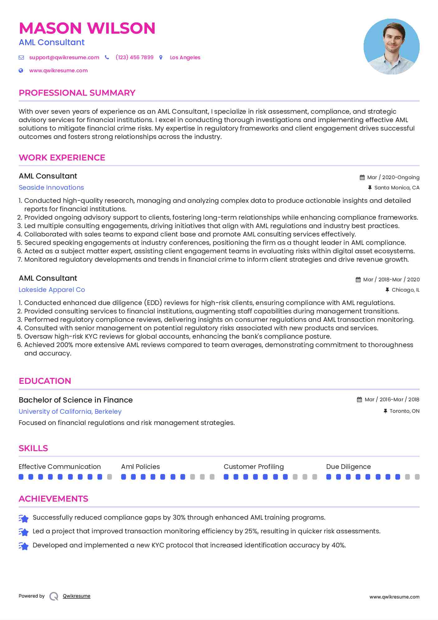AML Consultant Resume Model