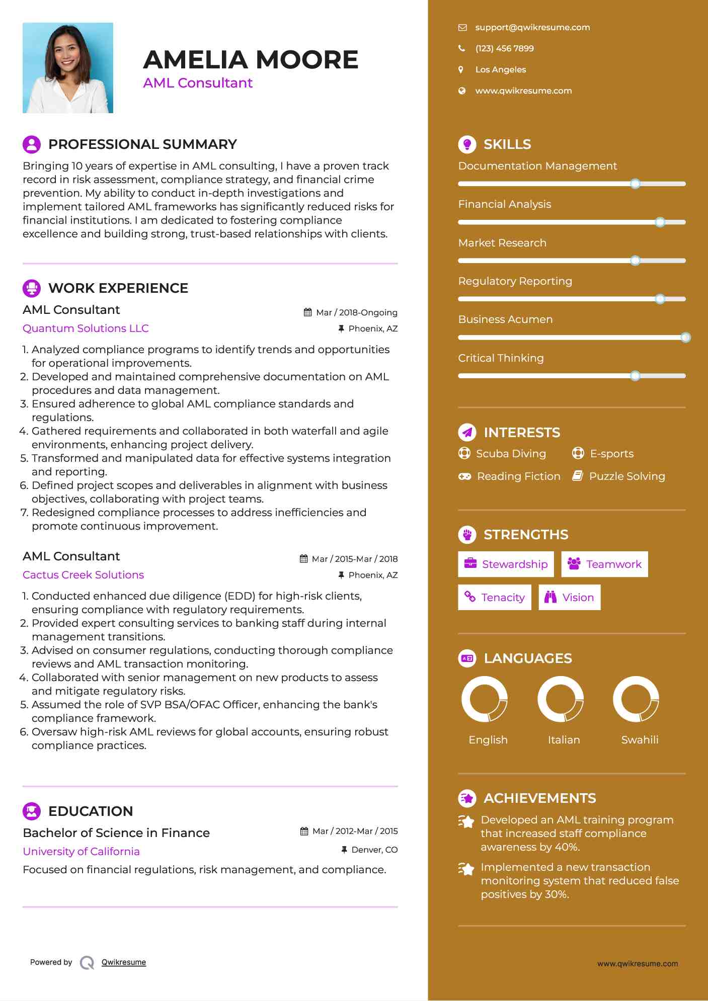 AML Consultant Resume Format